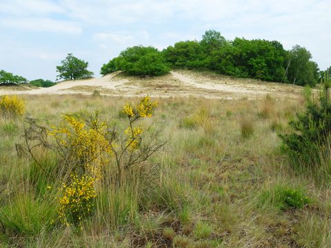 Omgeving
