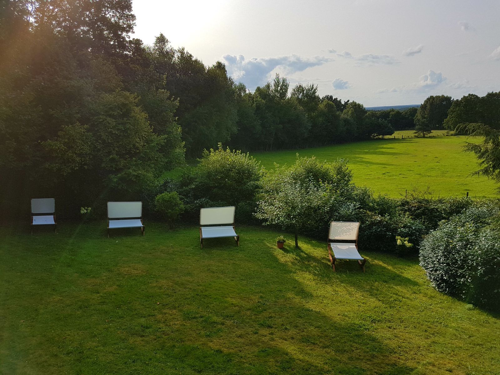 Omgeving