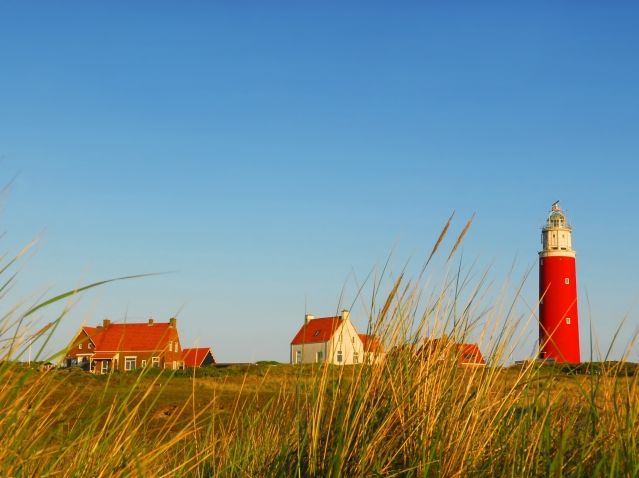Omgeving
