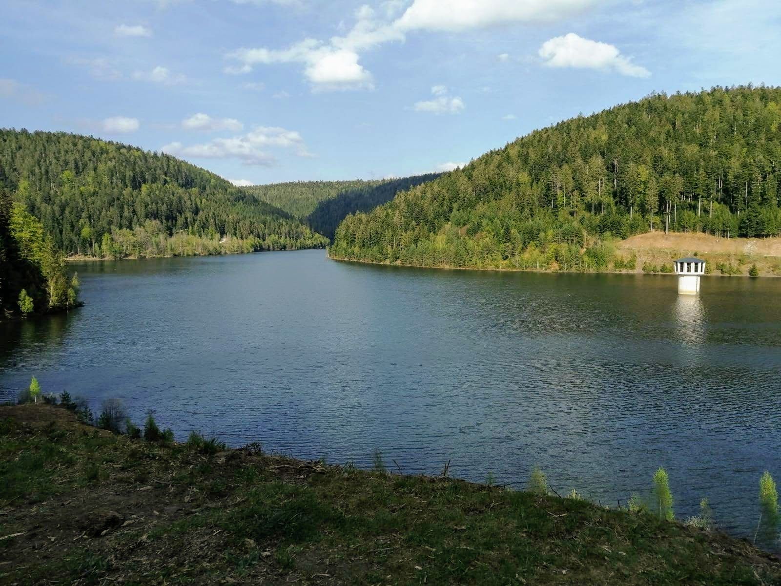 Omgeving