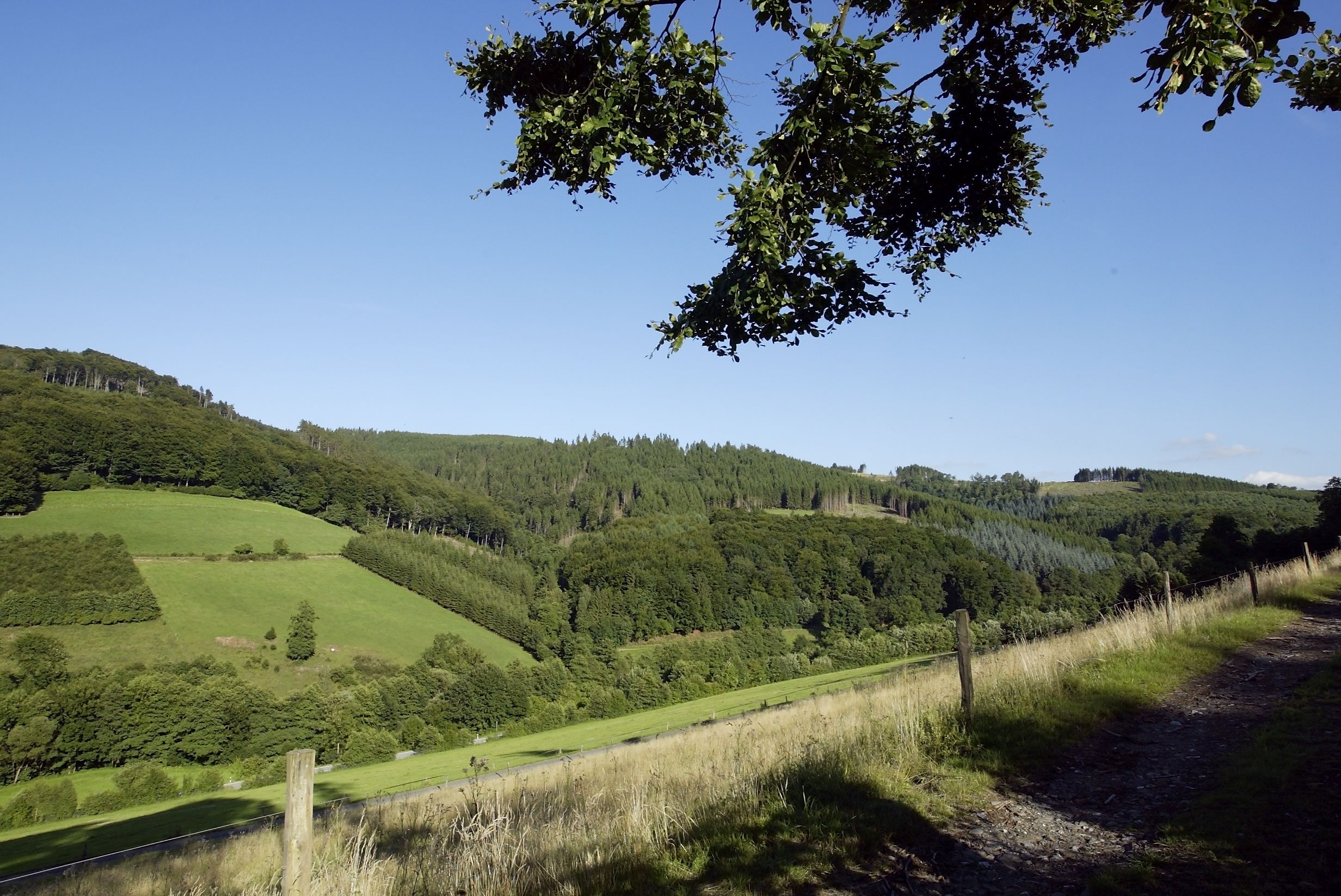 Omgeving