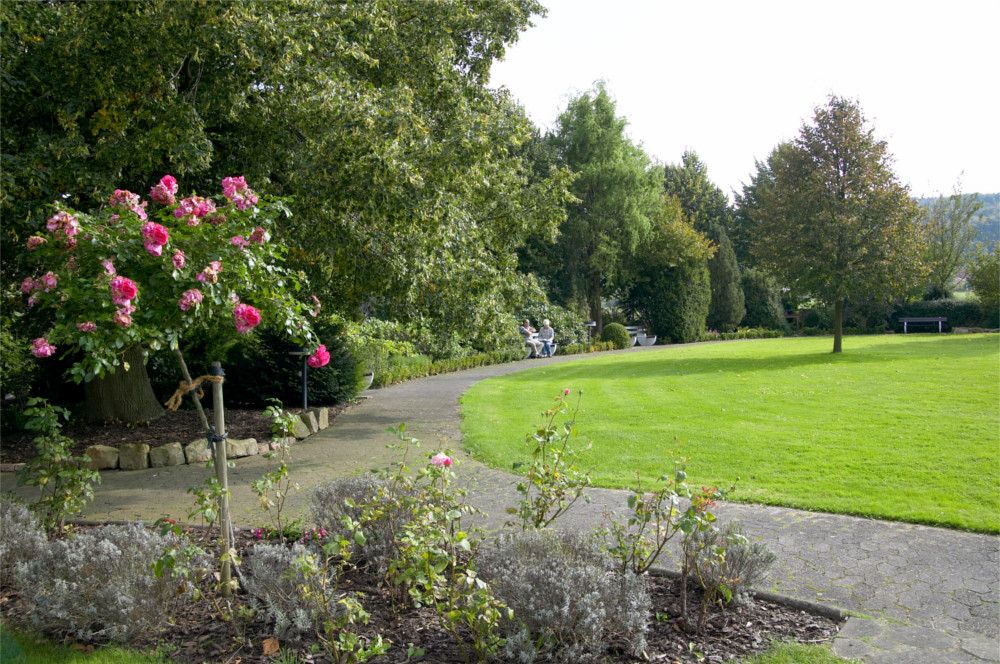 Omgeving