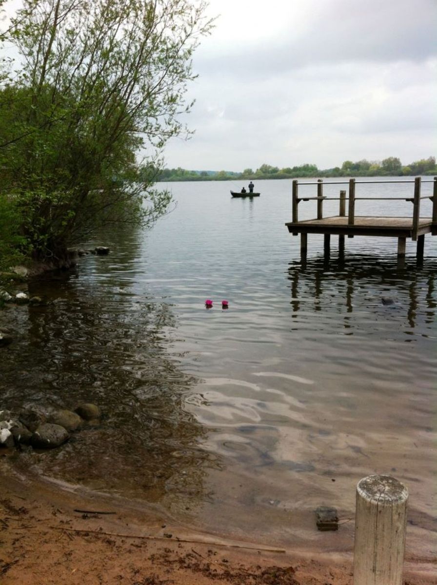 Omgeving