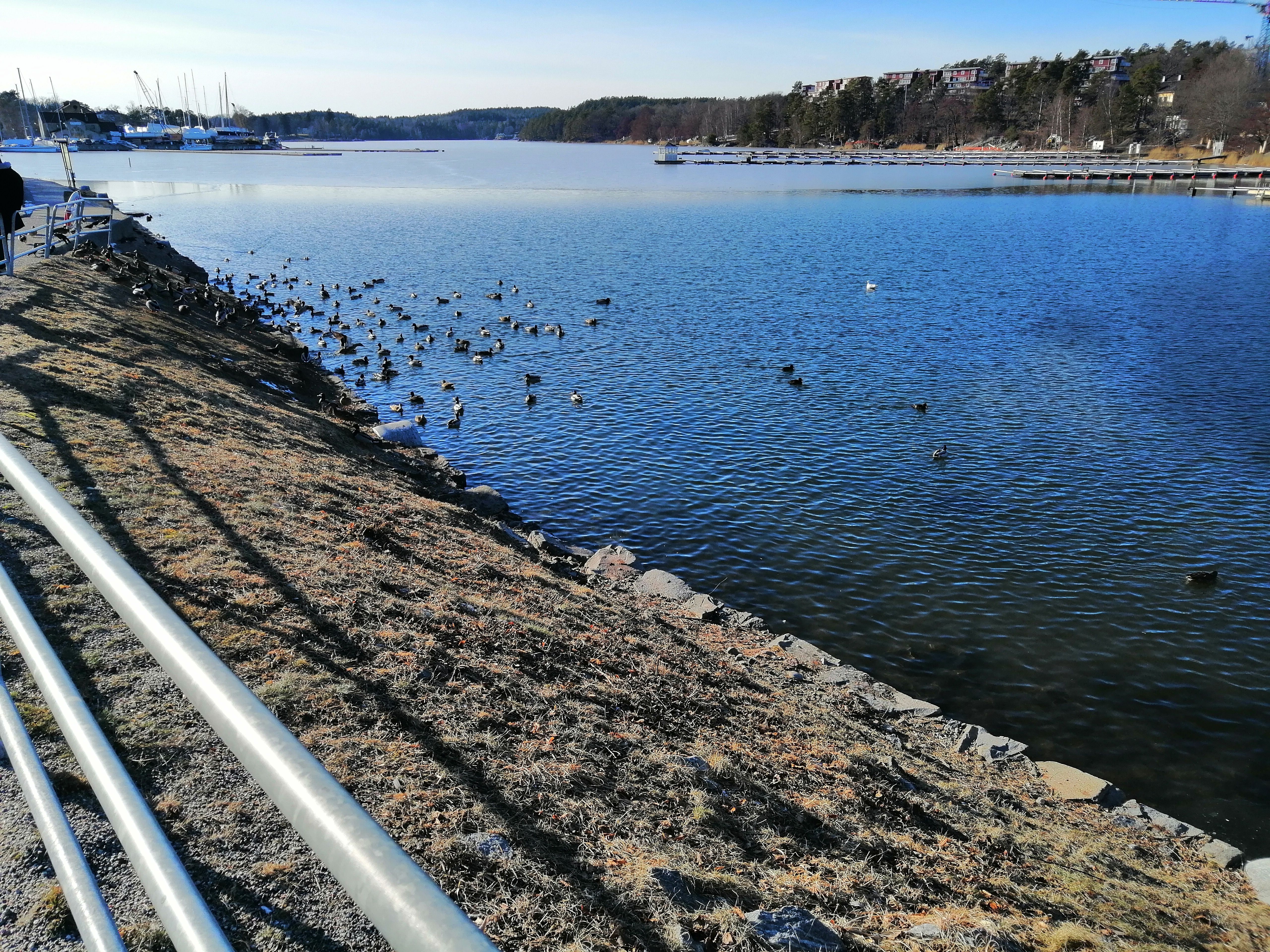 Omgeving