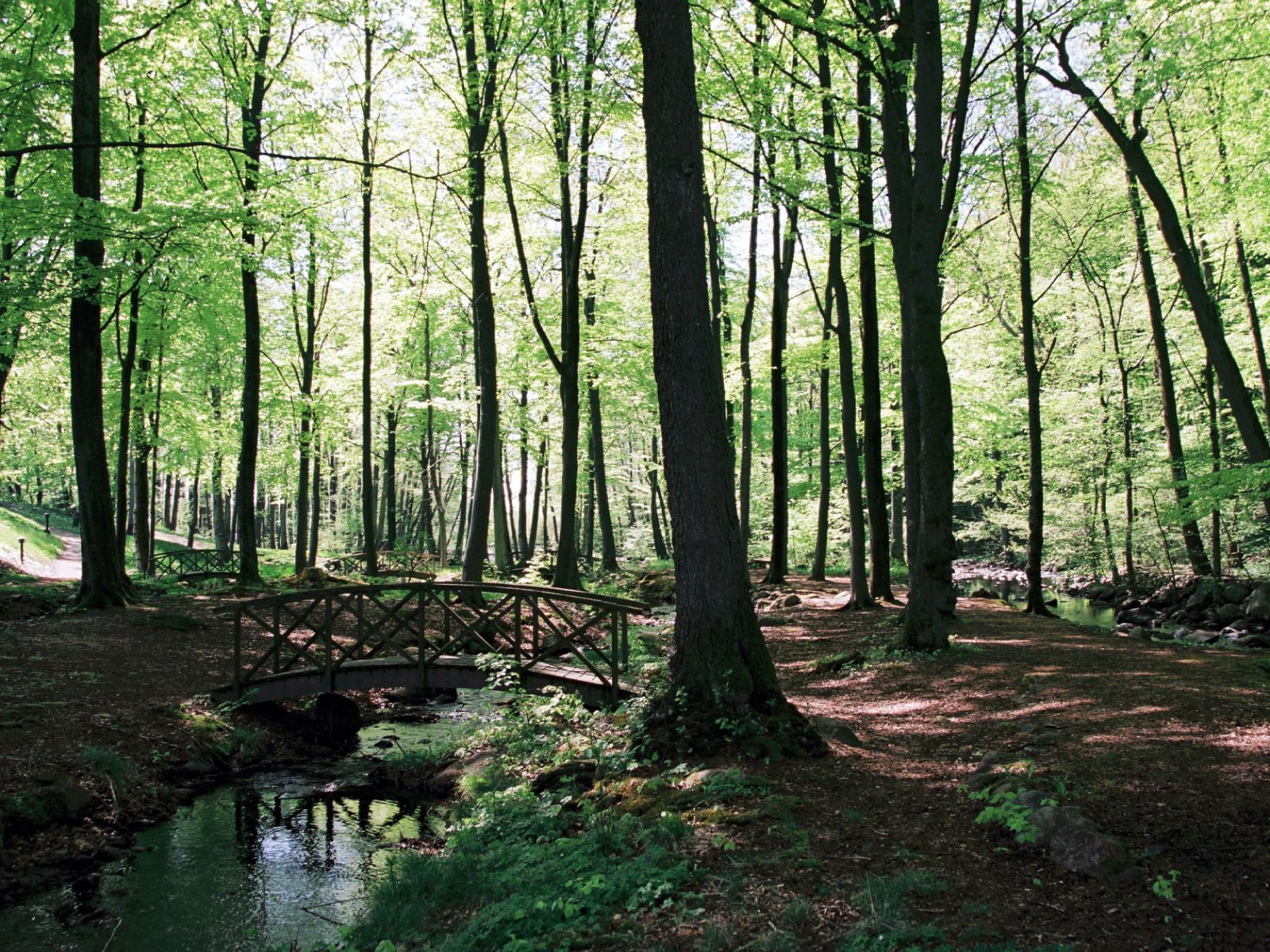 Omgeving