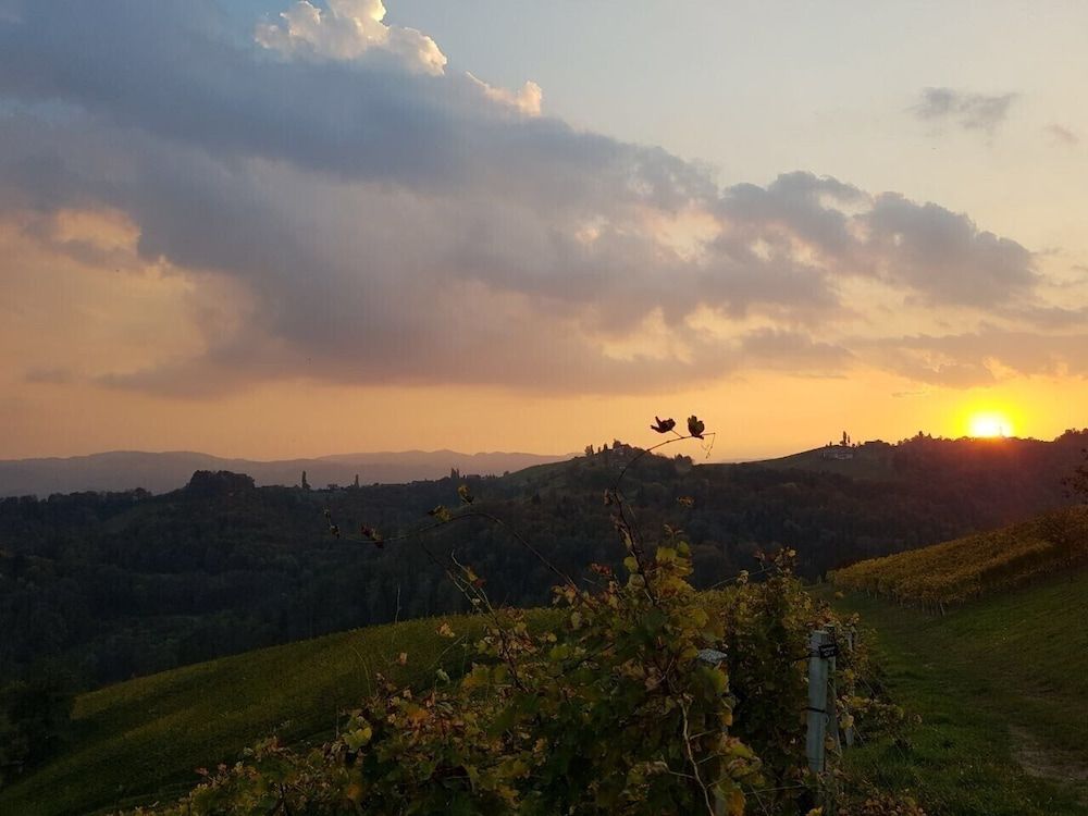 Algemeen