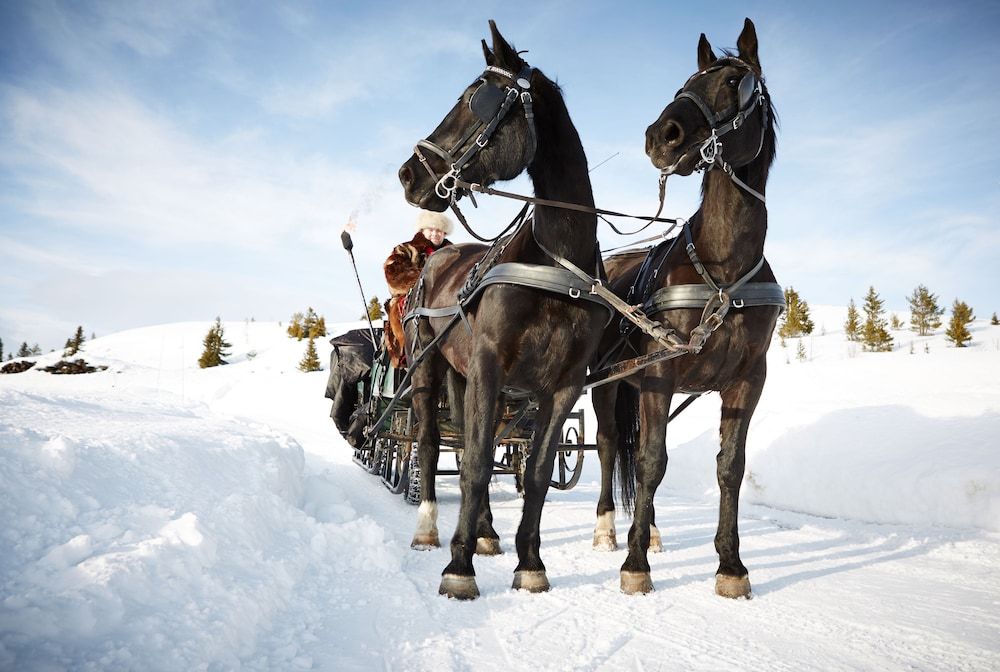 Algemeen