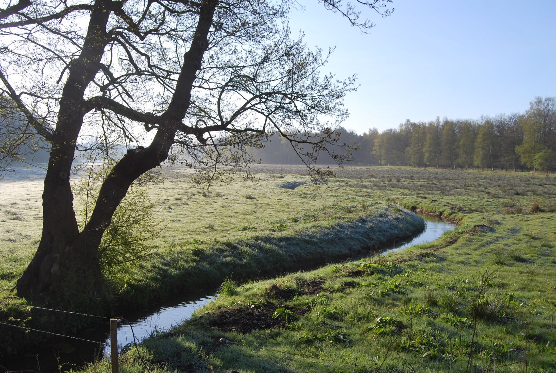 Omgeving