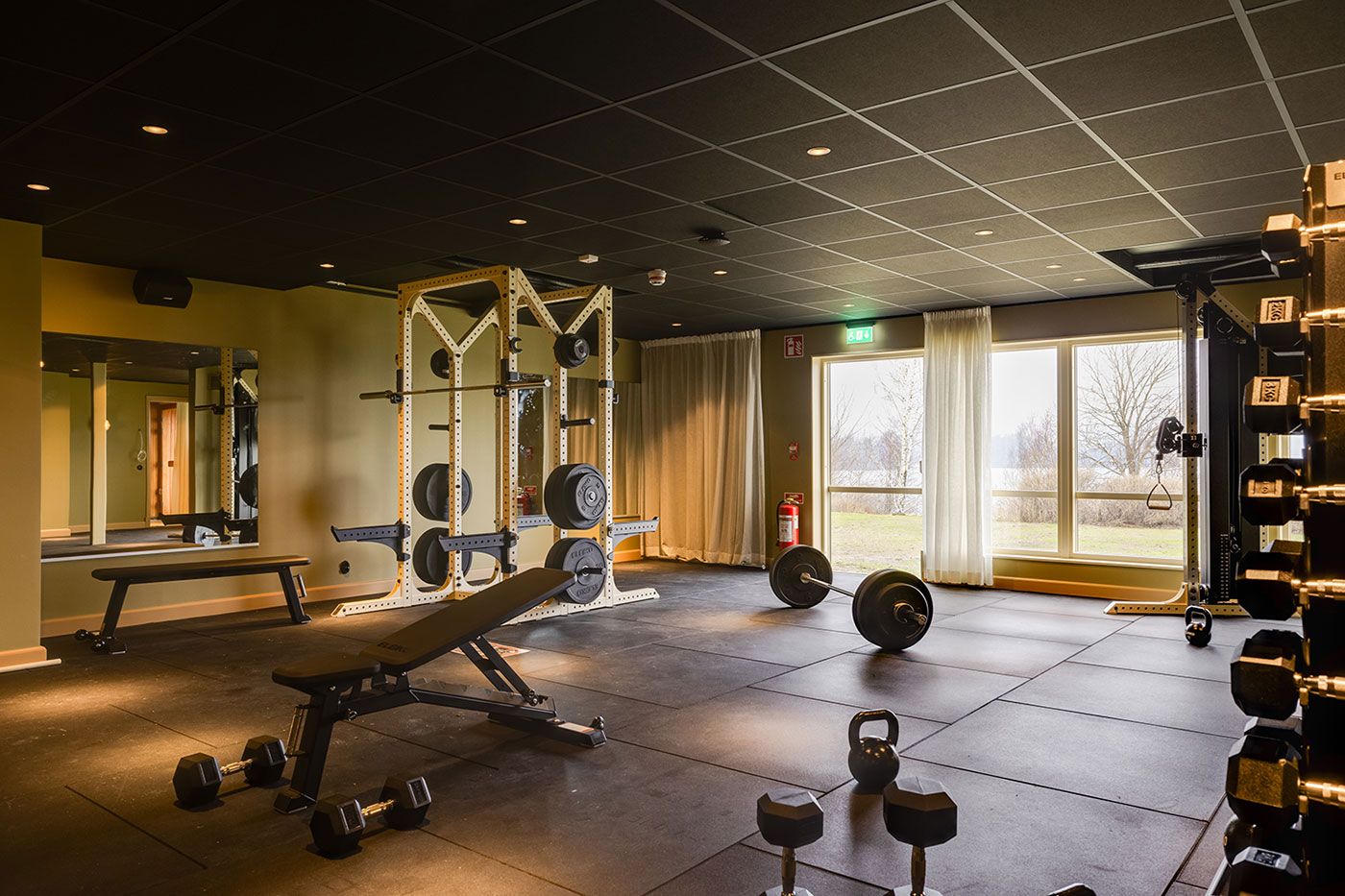 Wellness