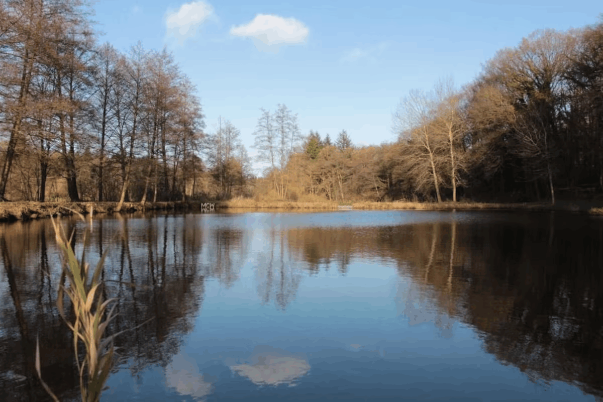 Omgeving