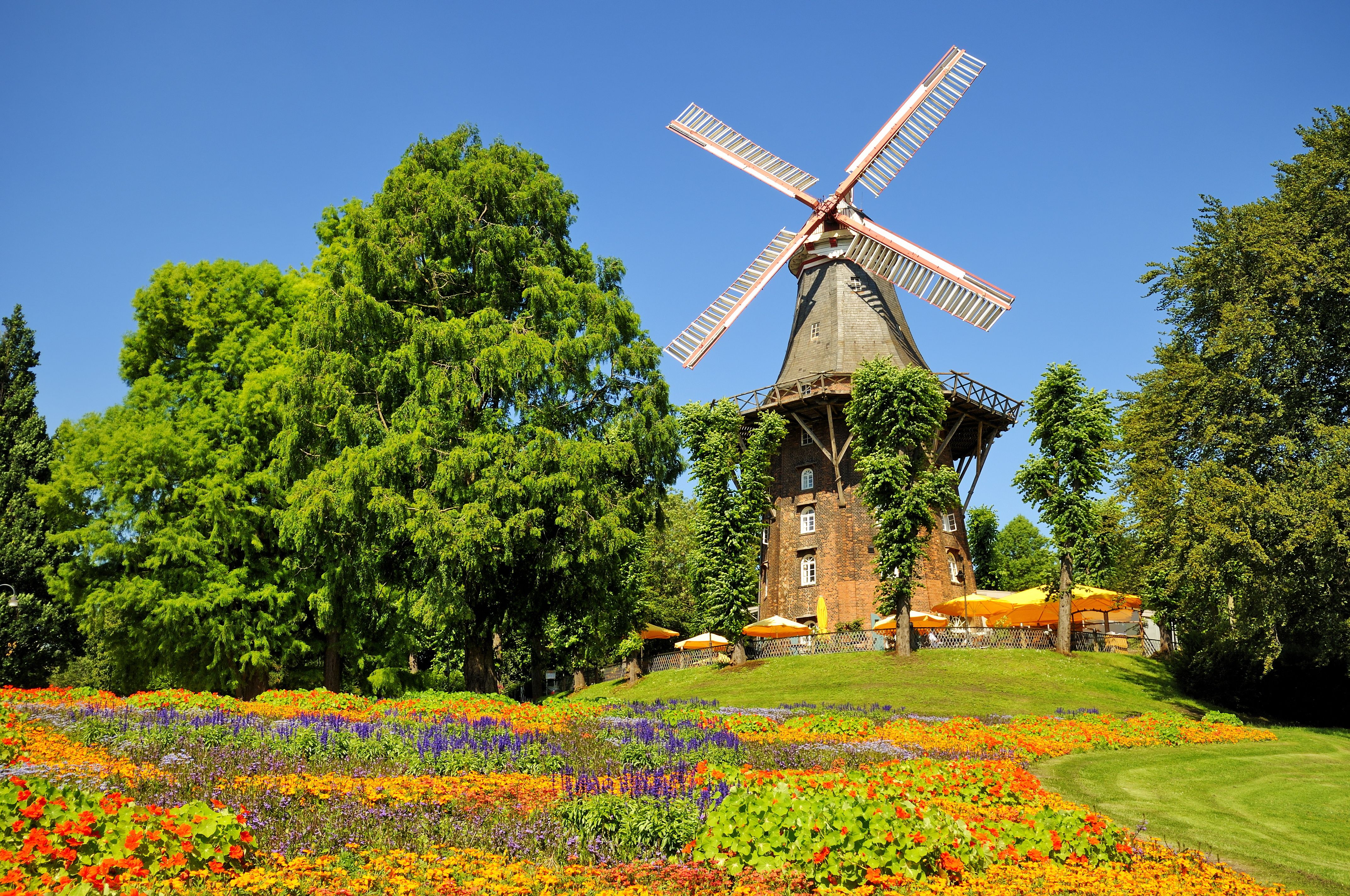 Omgeving