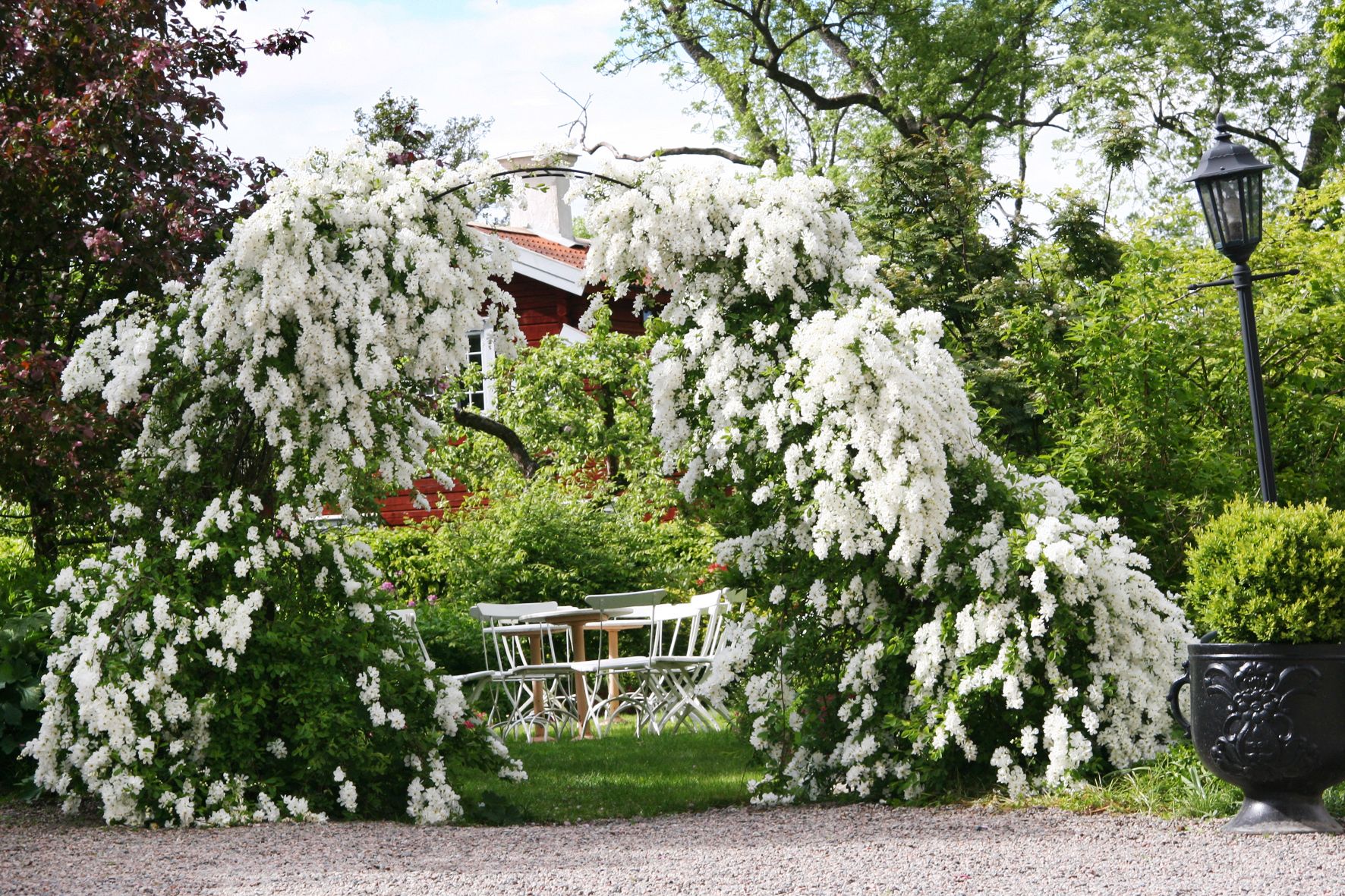 Omgeving
