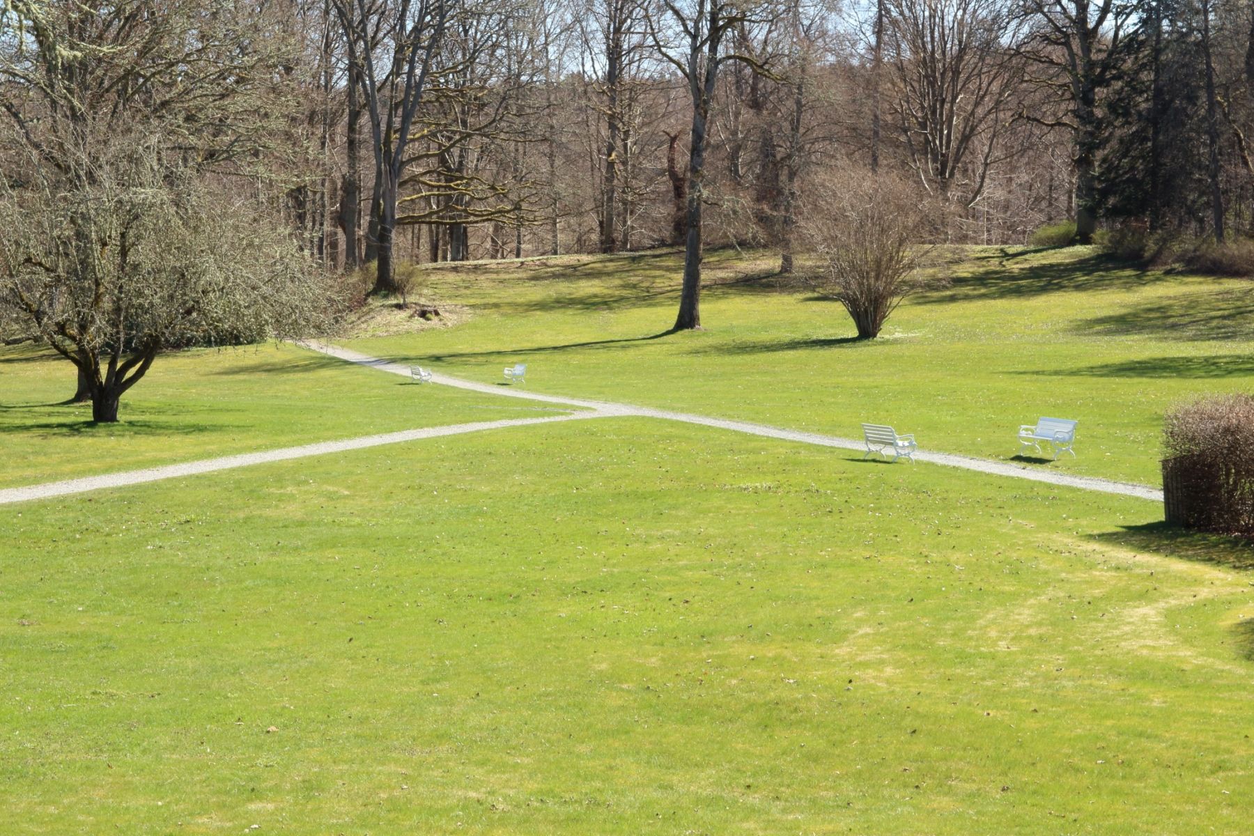 Omgeving
