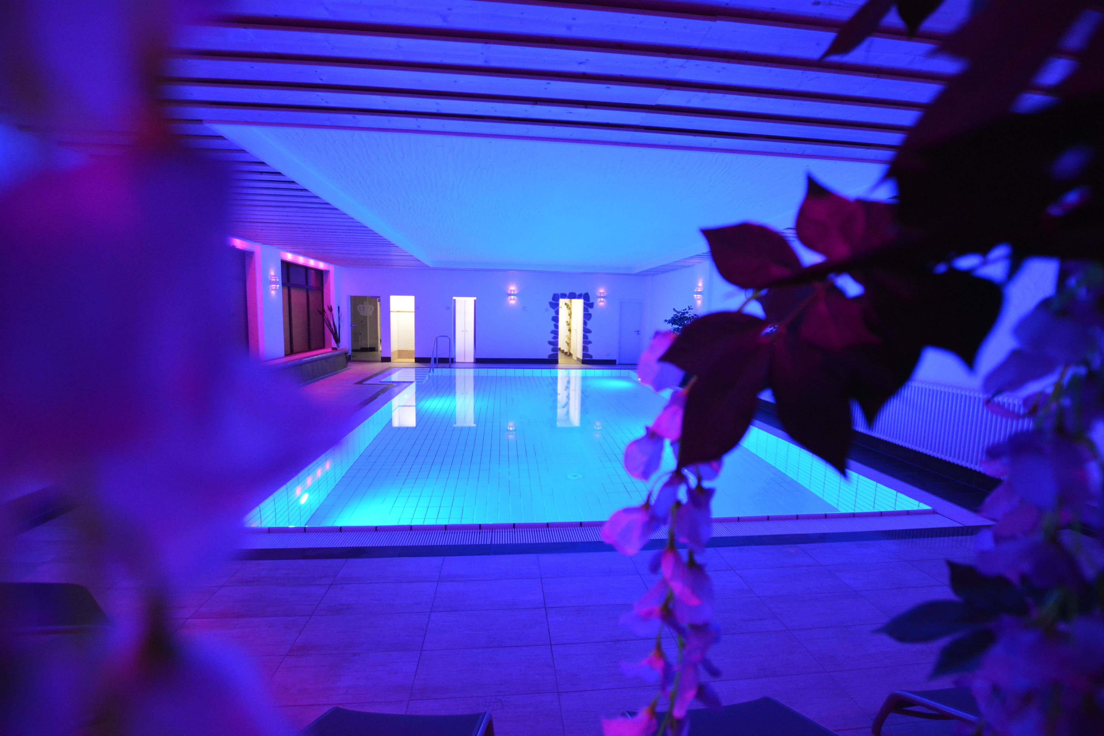 Wellness