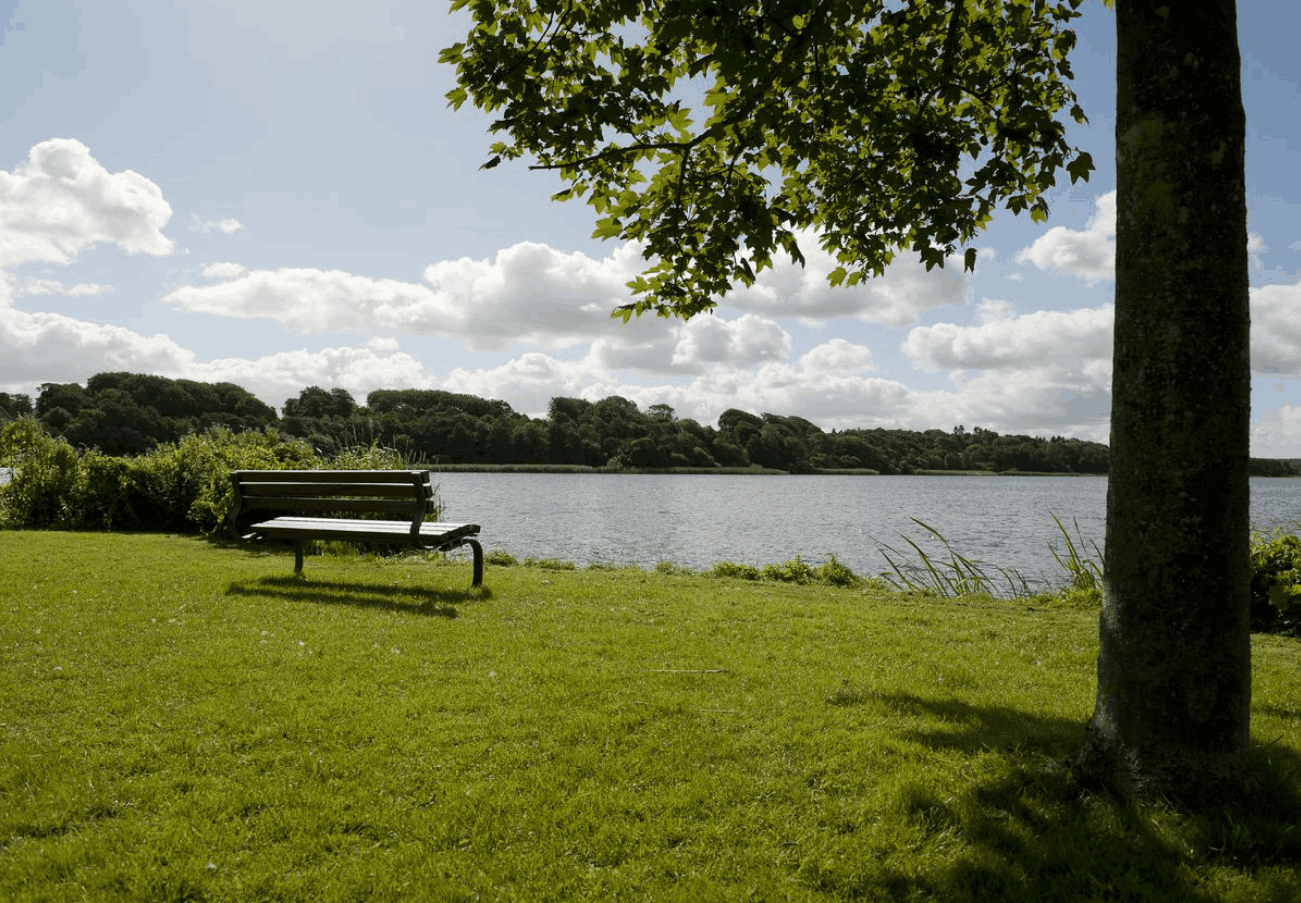Omgeving