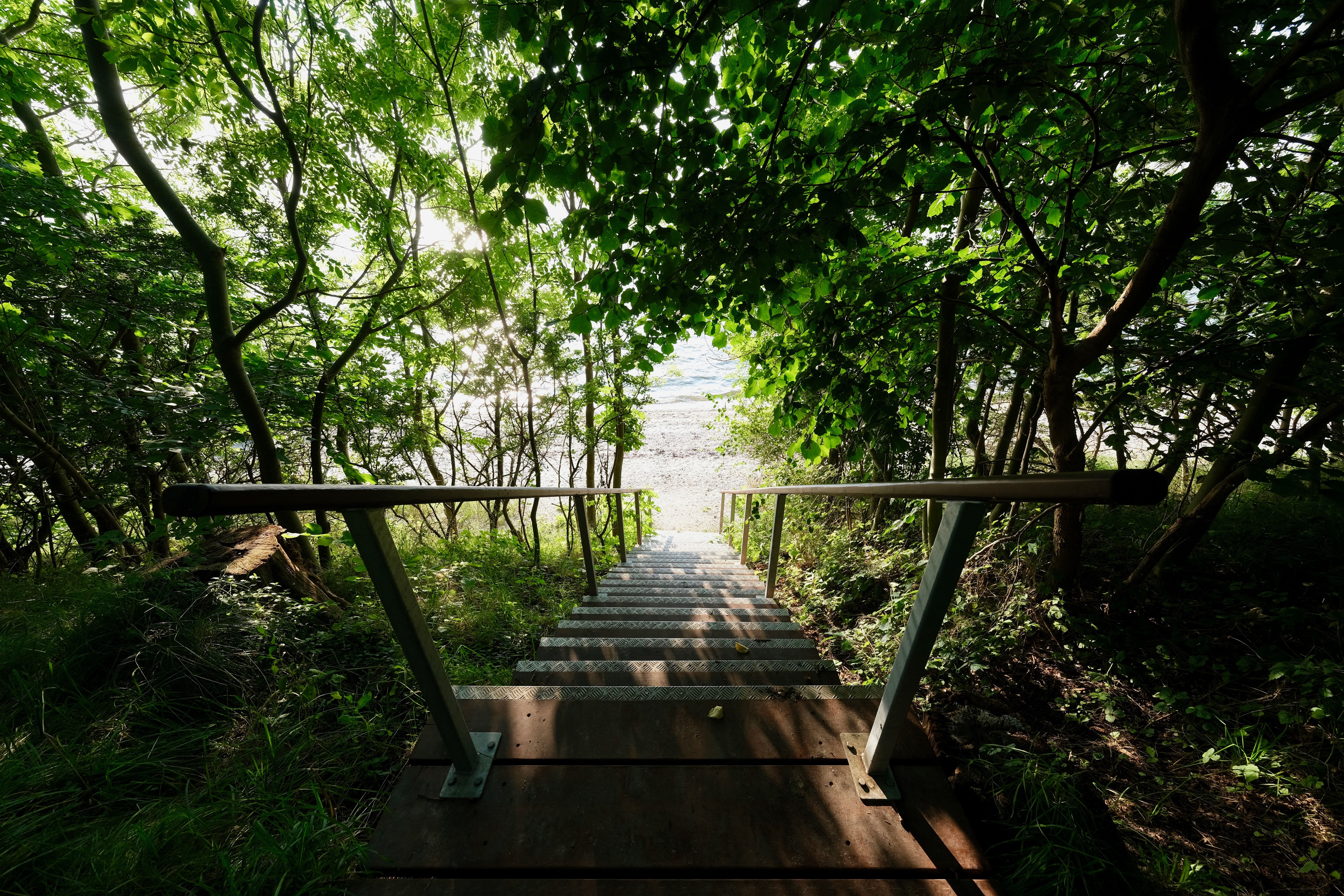 Omgeving