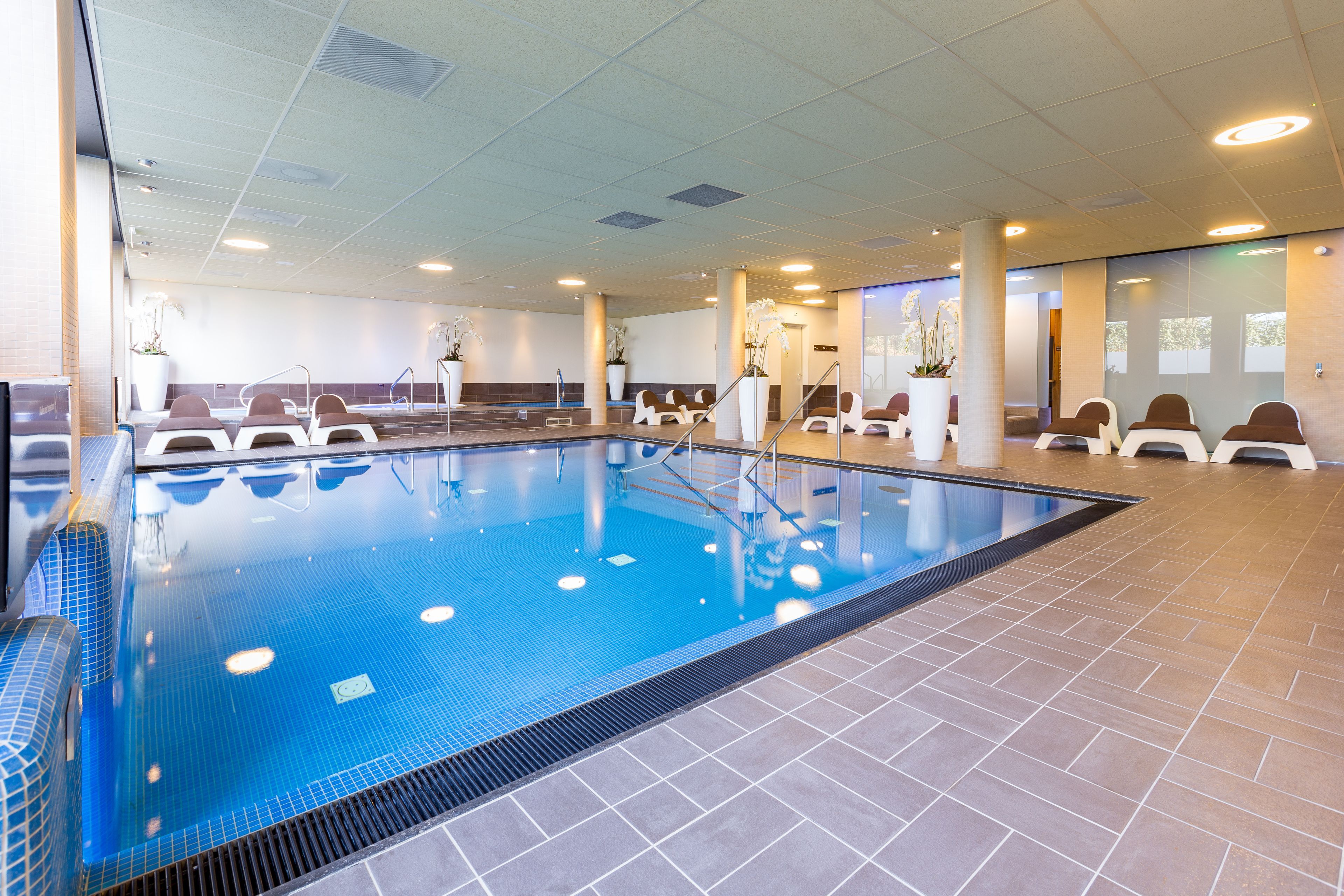 Wellness