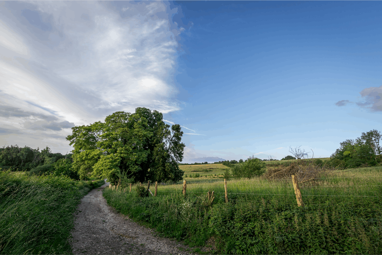 Omgeving