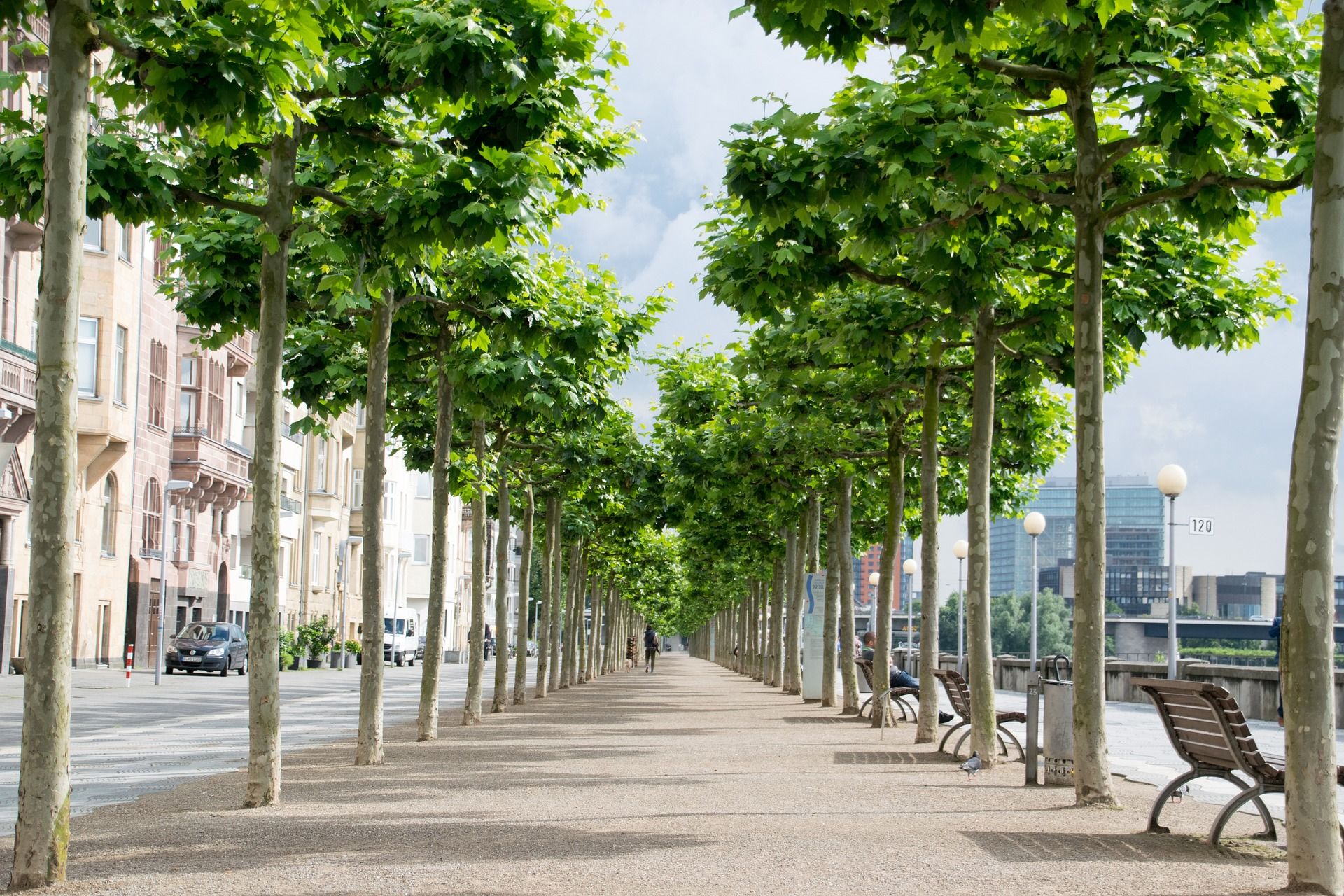 Omgeving