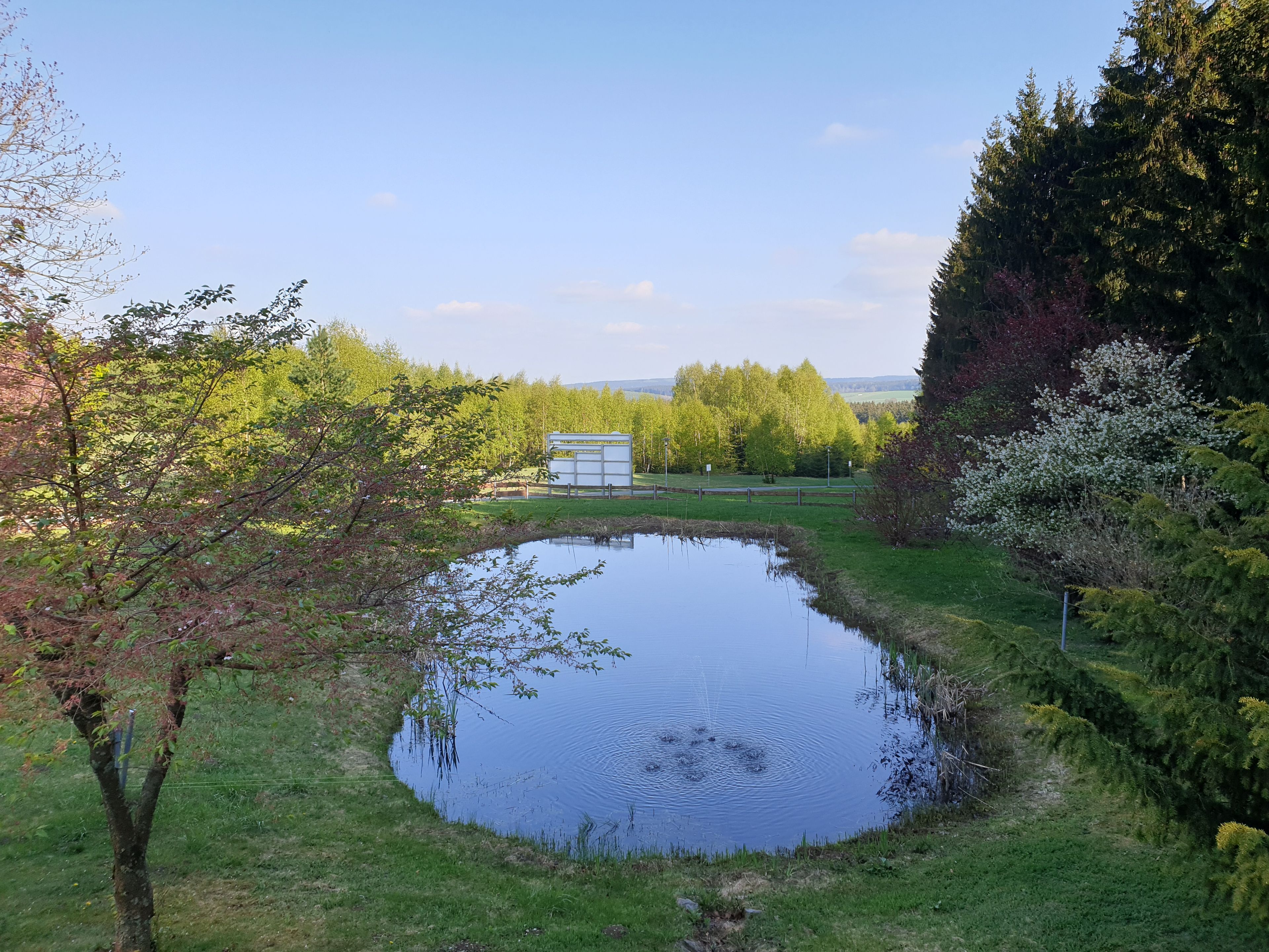 Omgeving