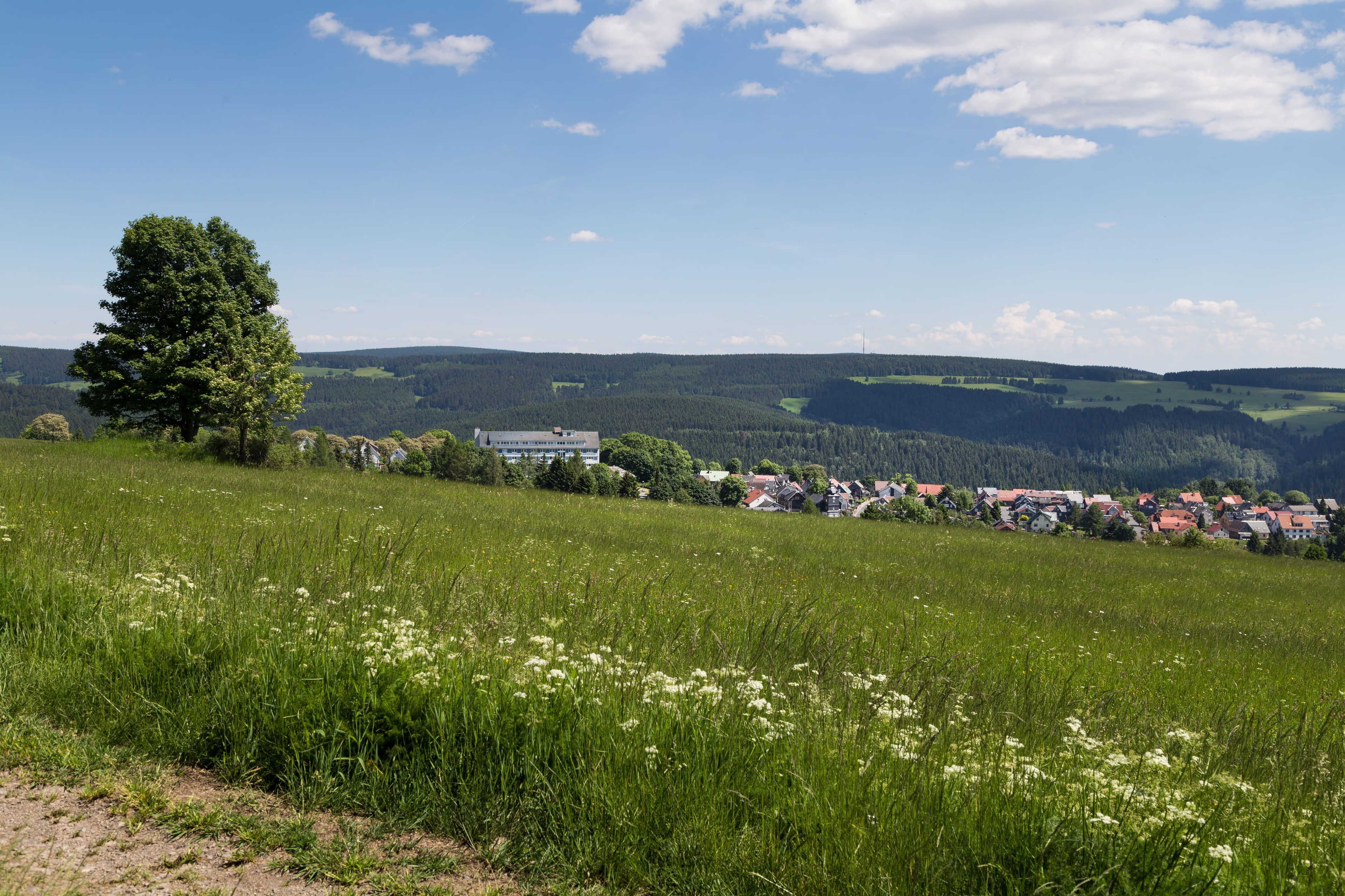 Omgeving