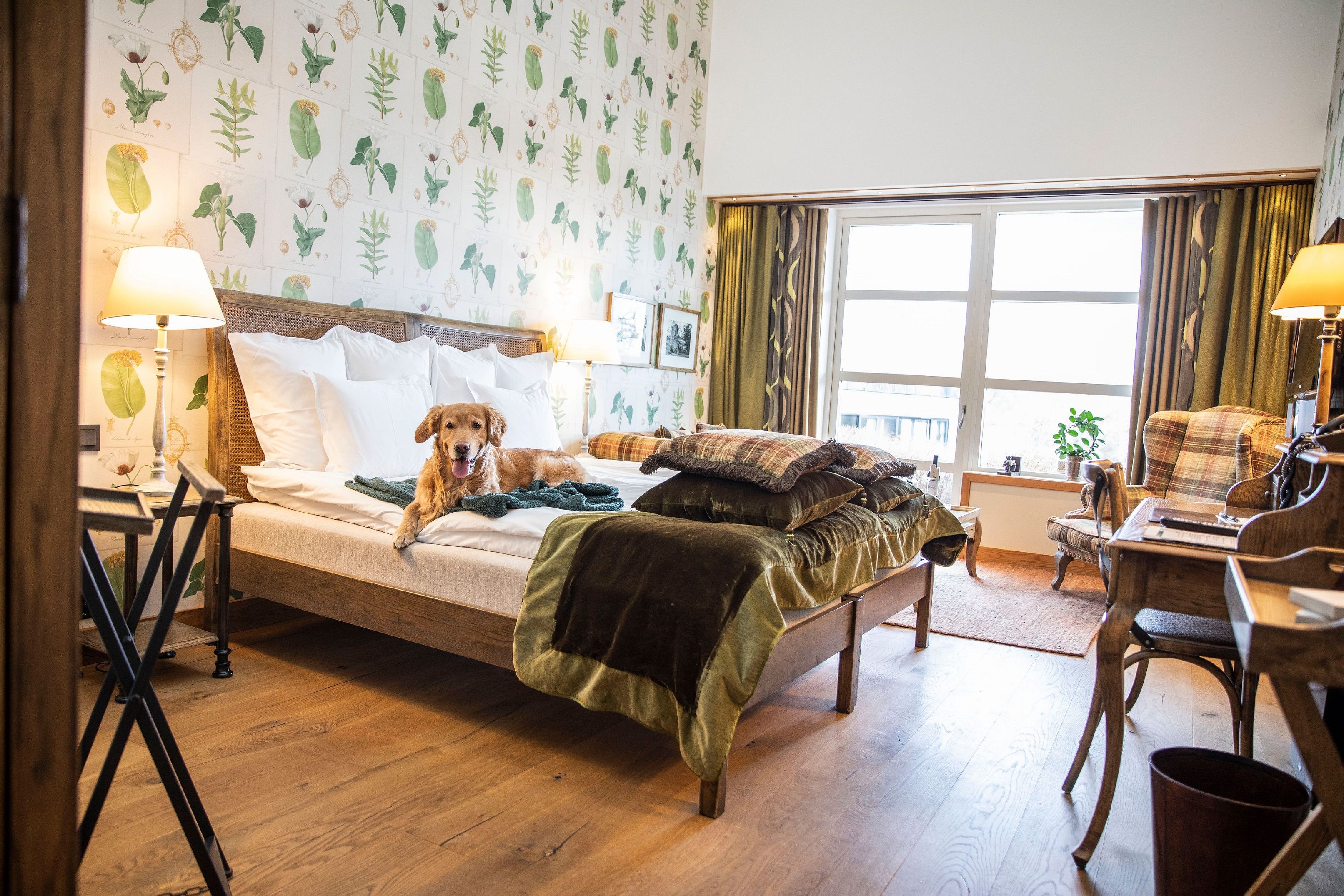 Kamer