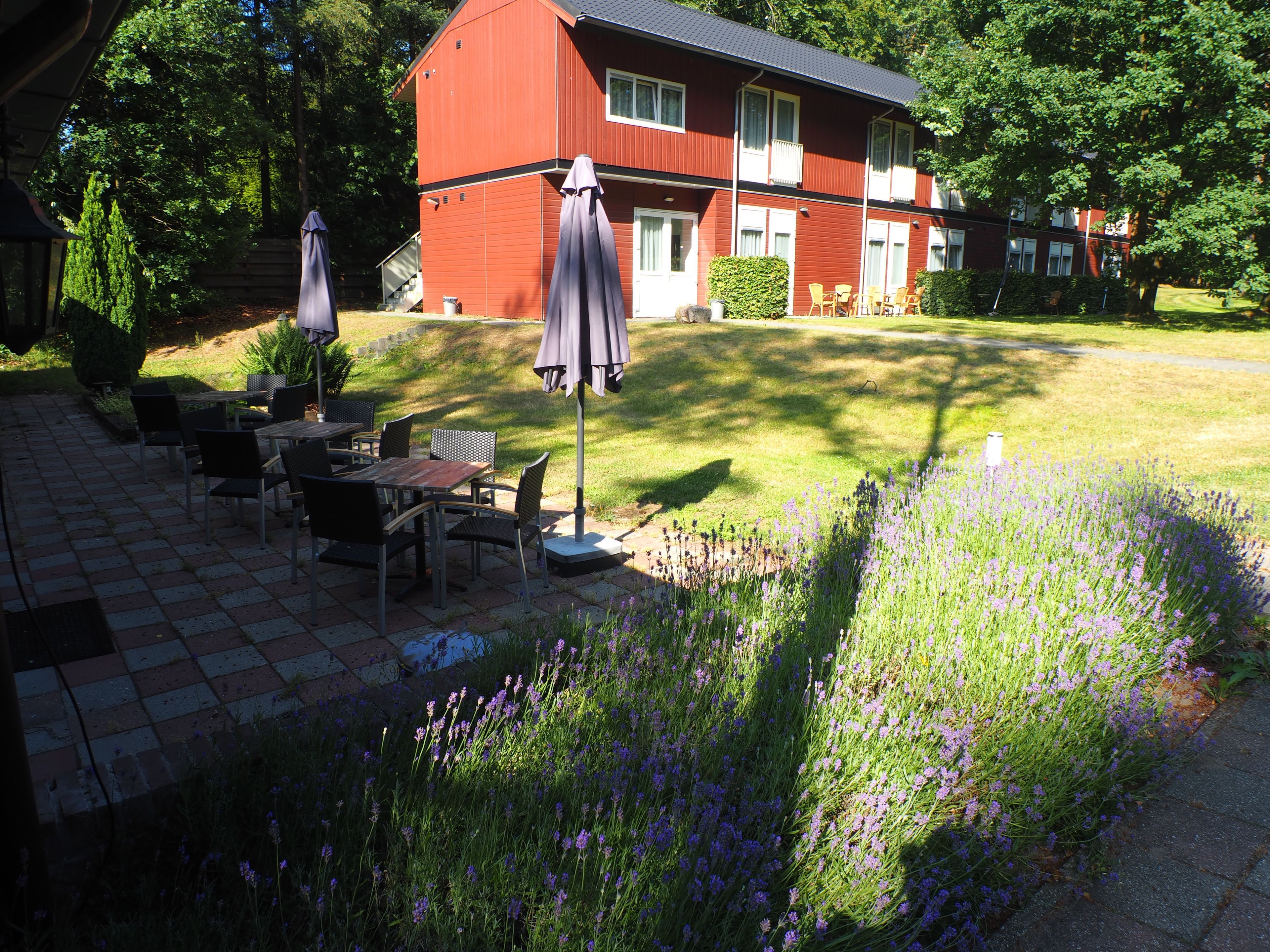 accommodatie