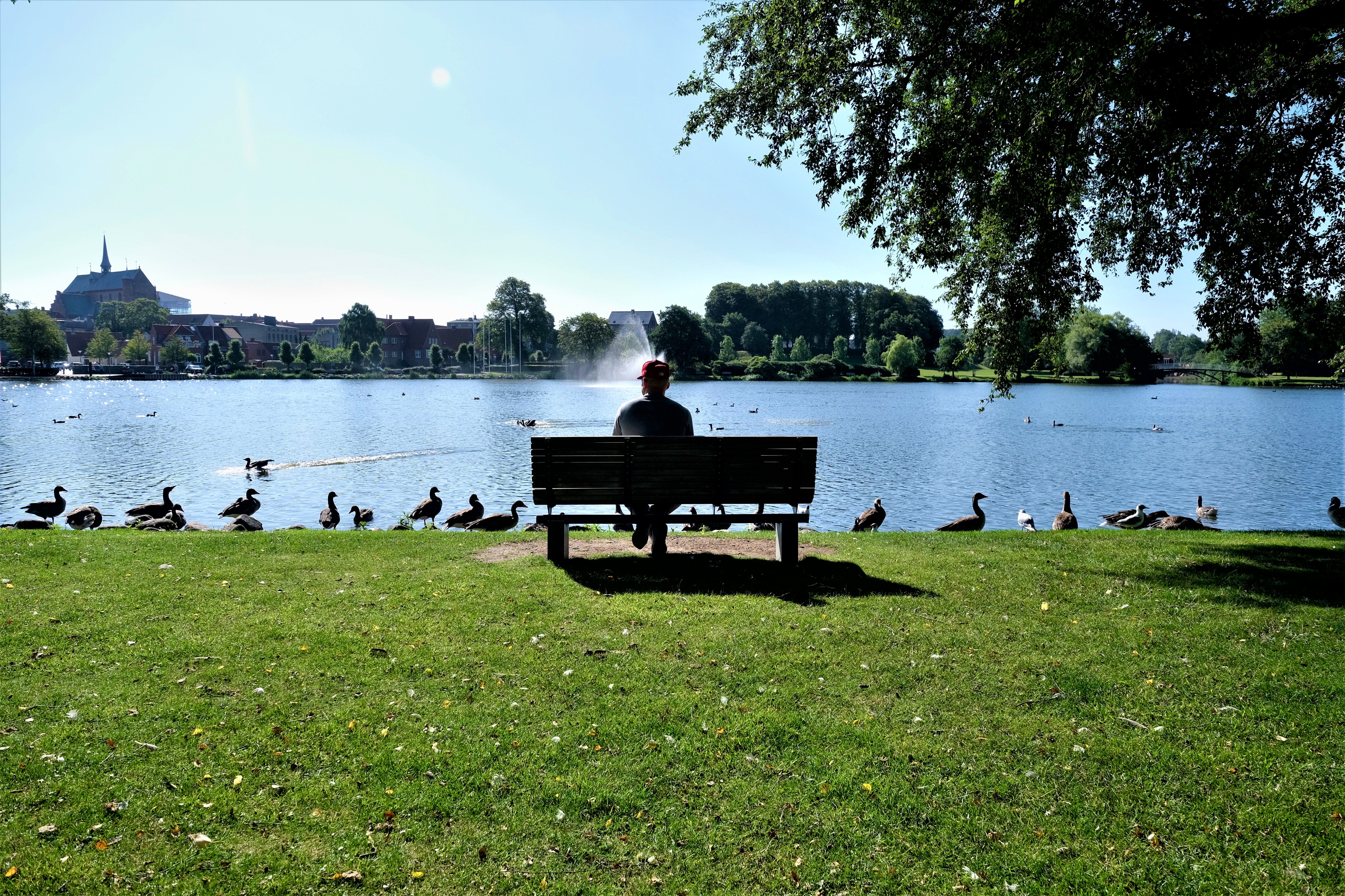 Omgeving