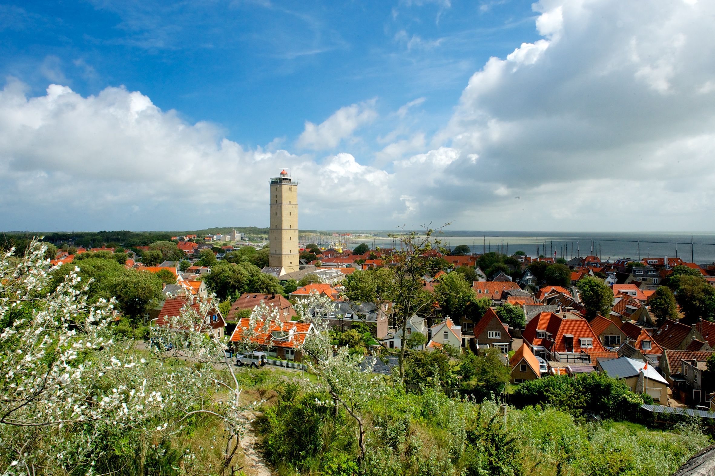 Omgeving