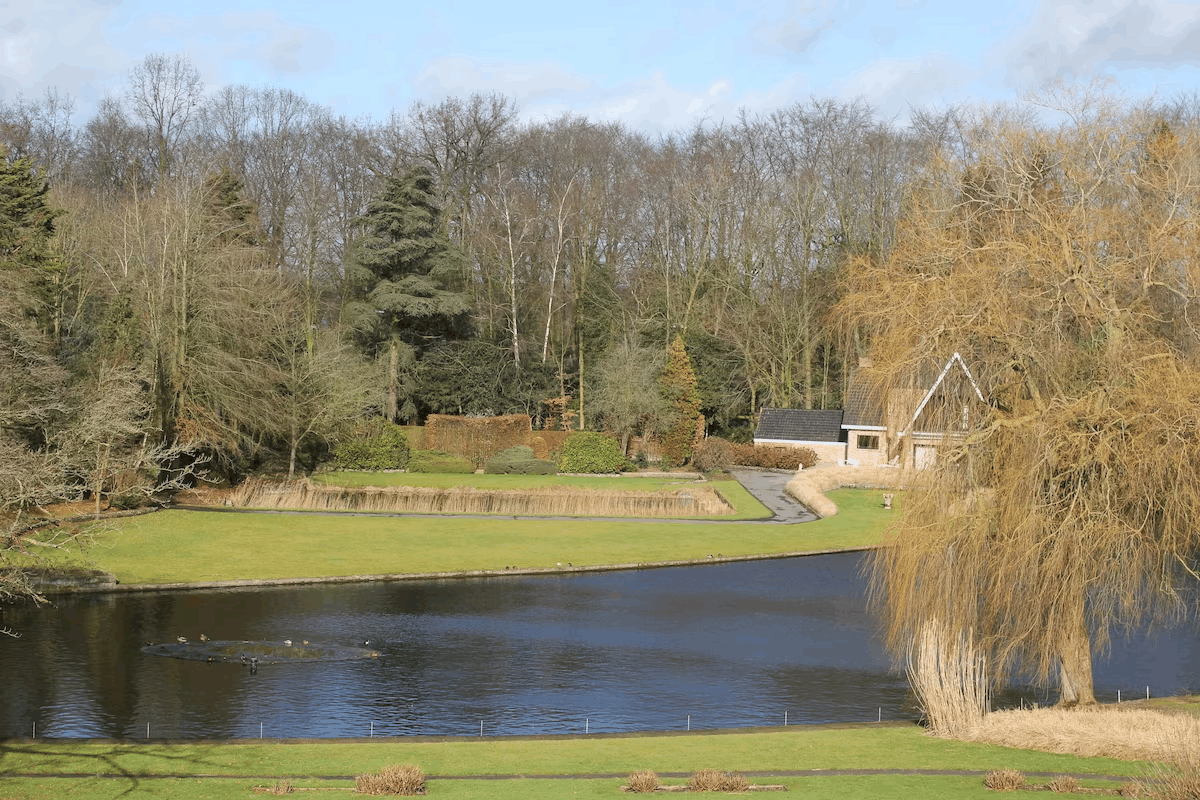 Omgeving