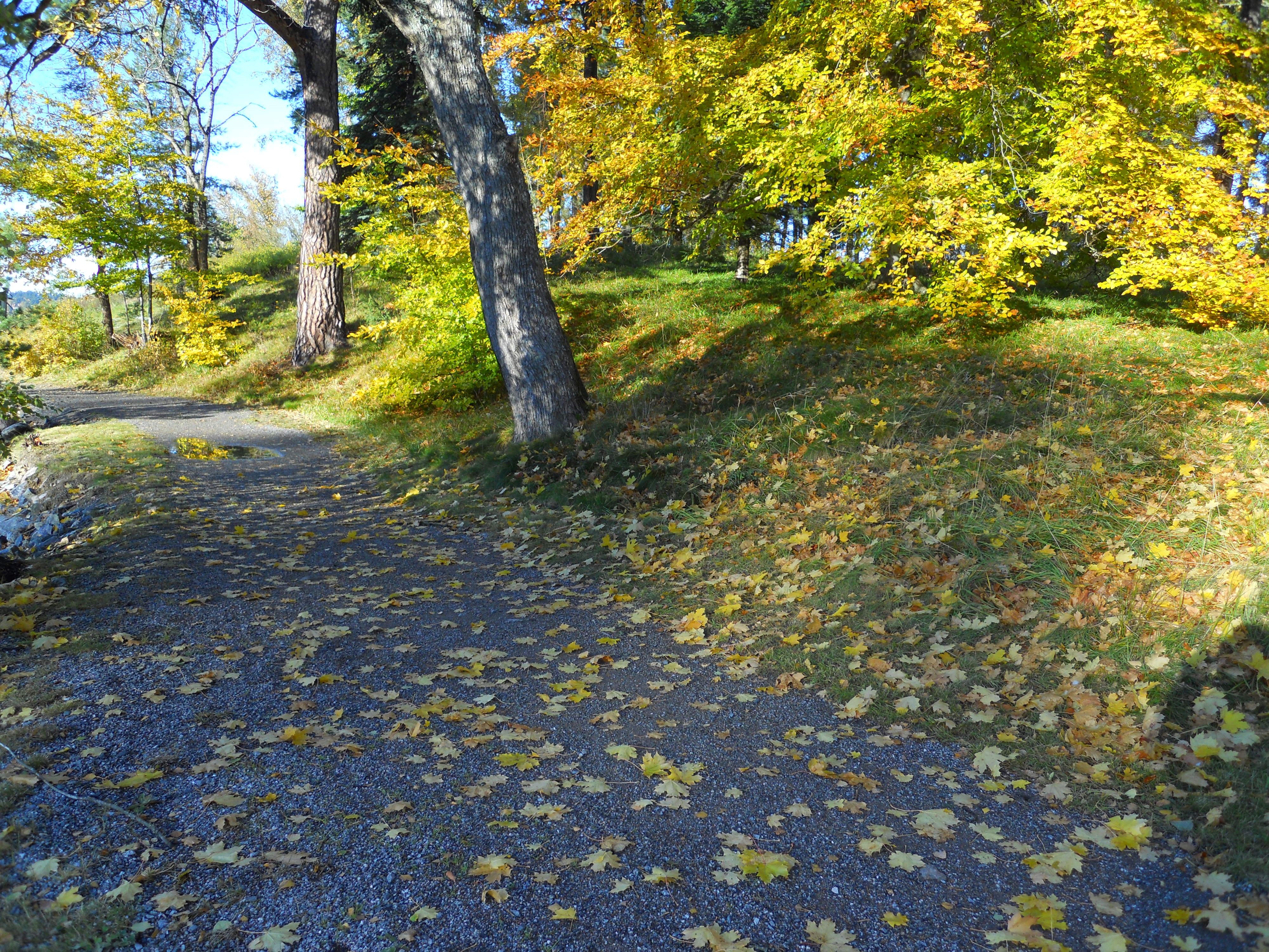 Omgeving