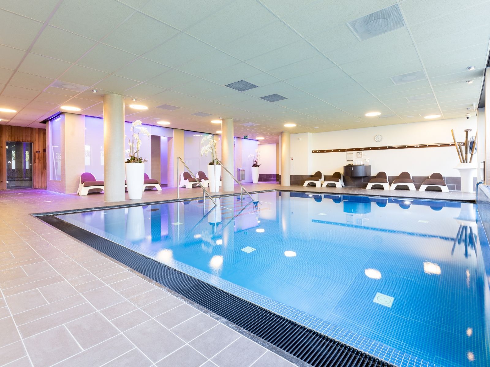 Wellness