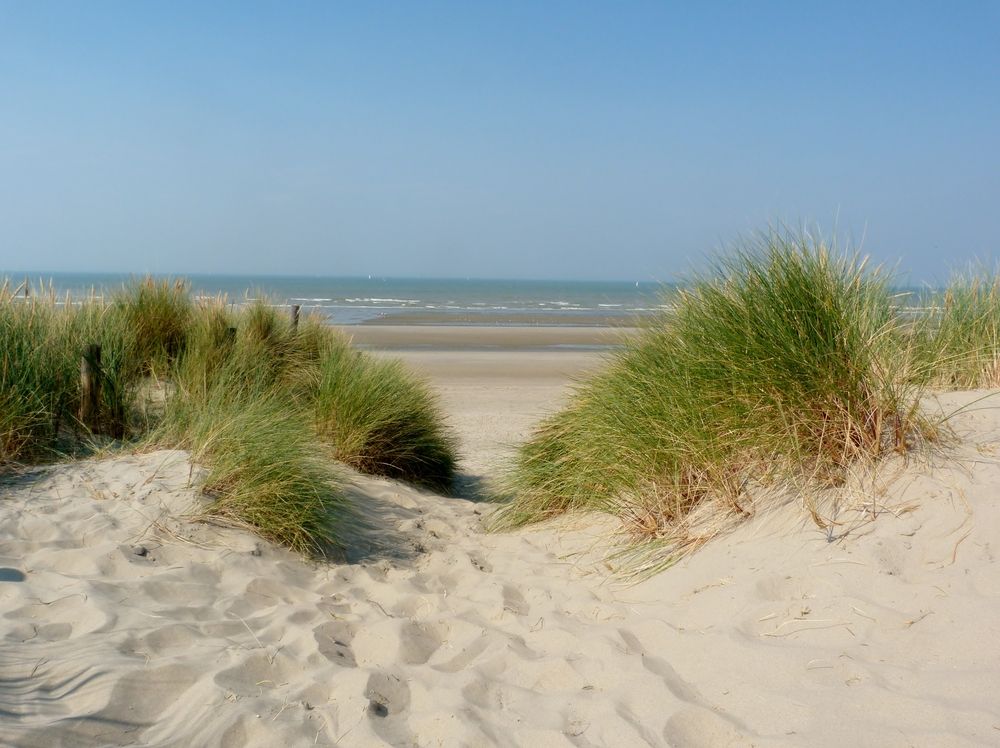 Omgeving