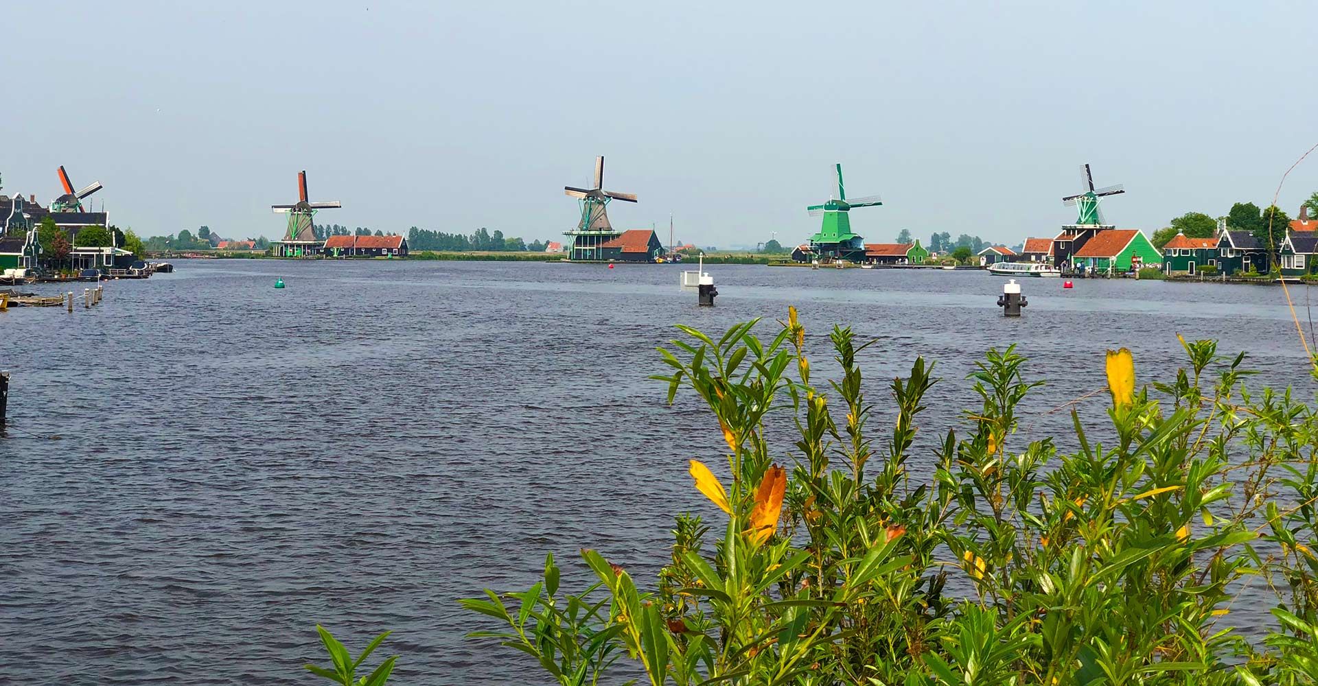 Omgeving