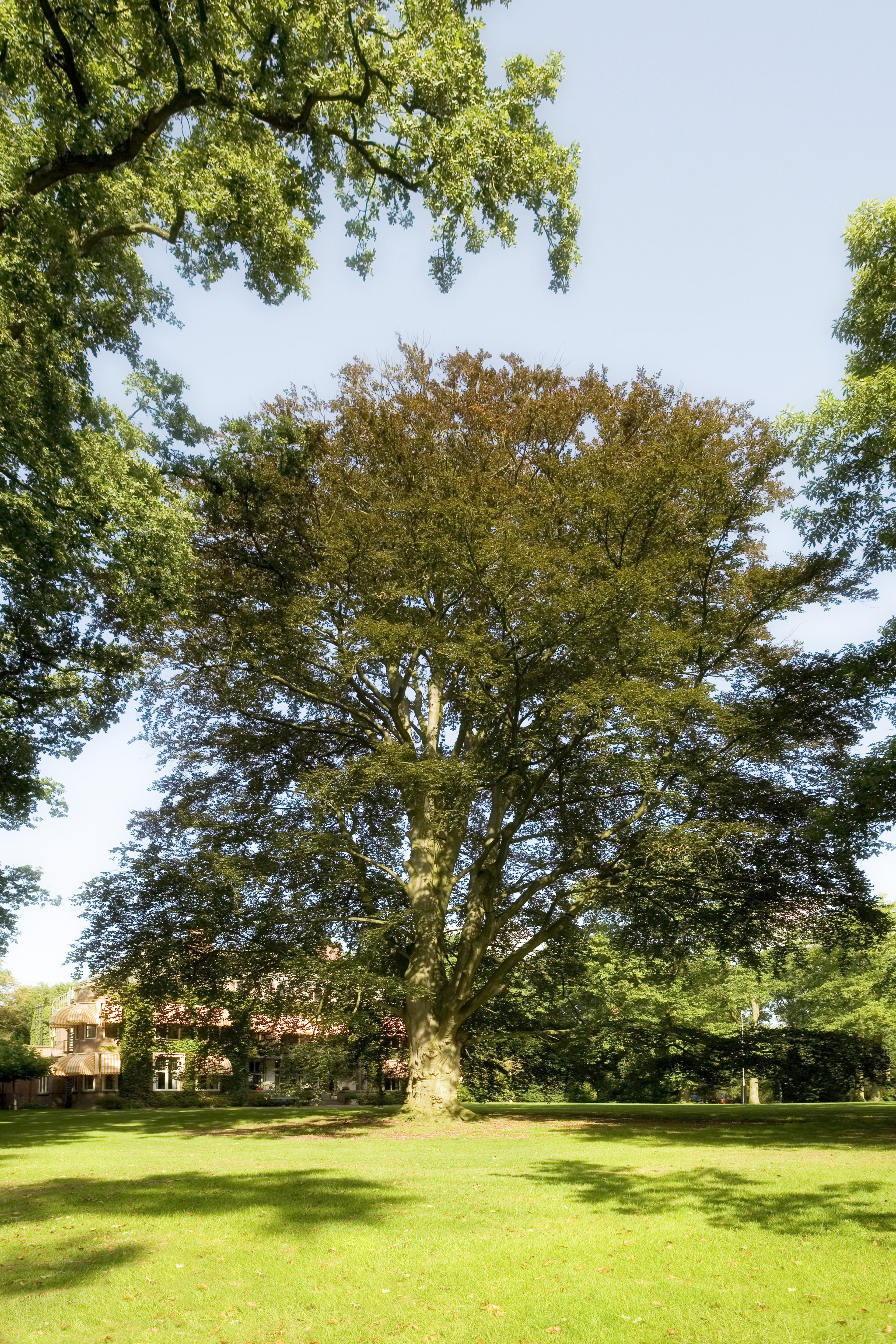 Omgeving