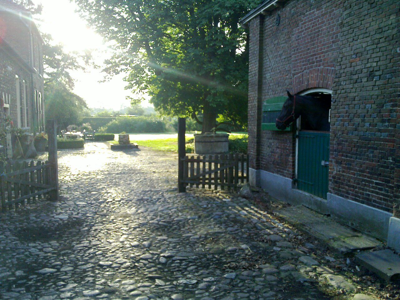 Omgeving