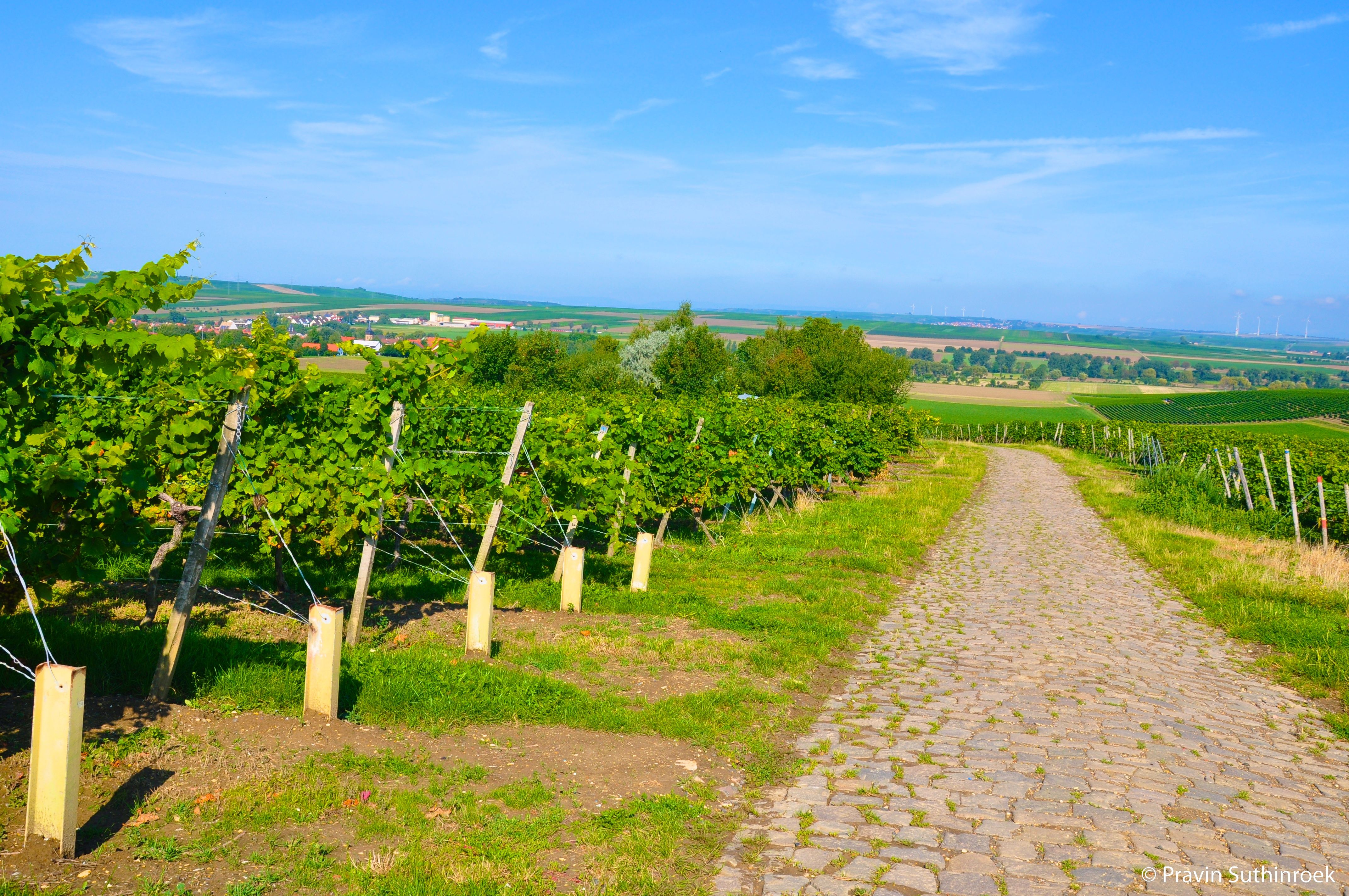 Omgeving