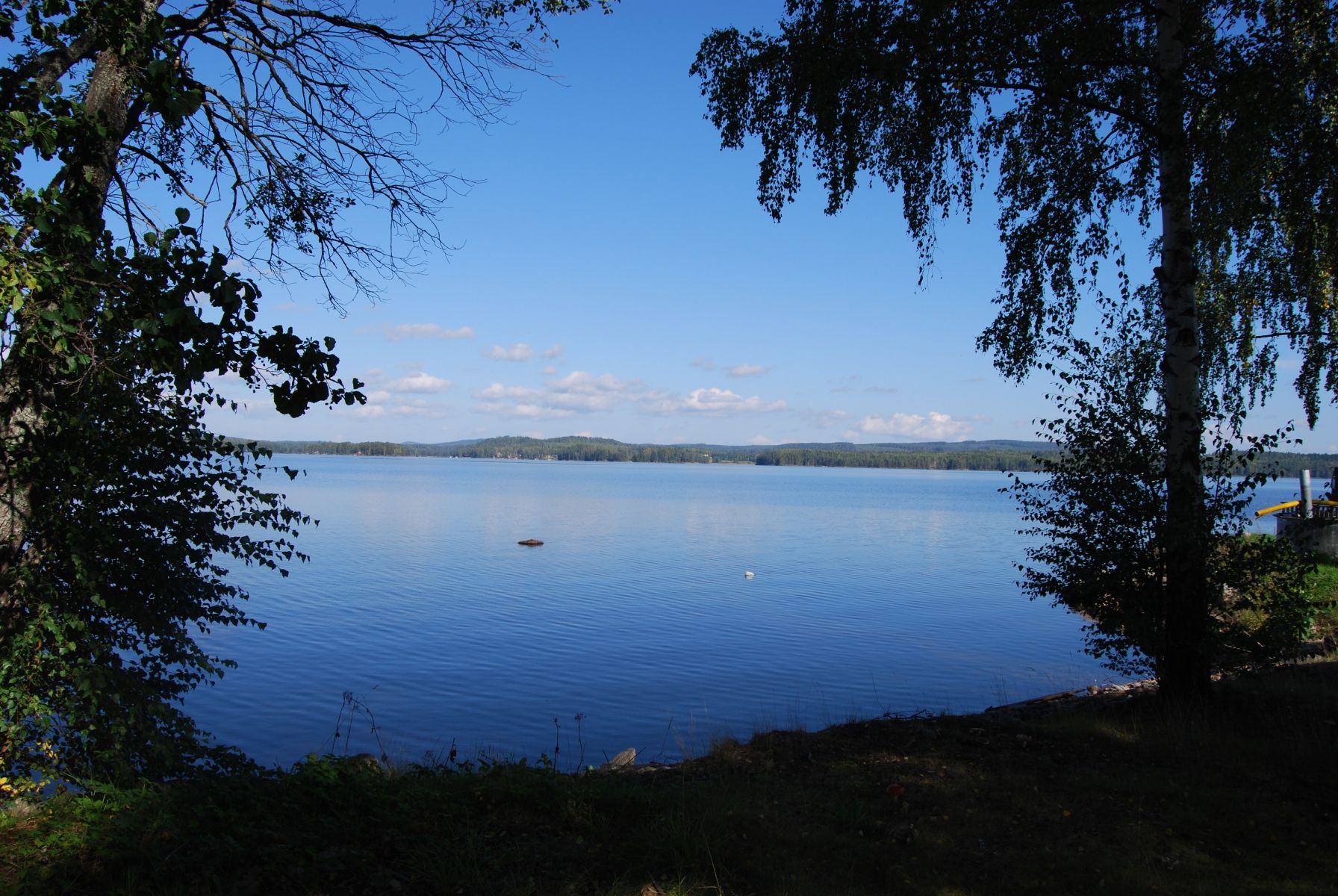 Omgeving