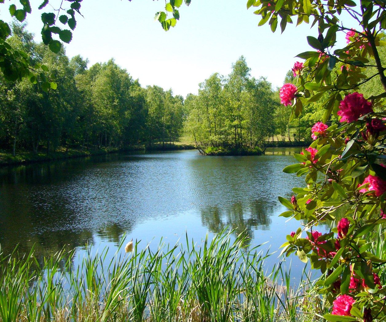 Omgeving