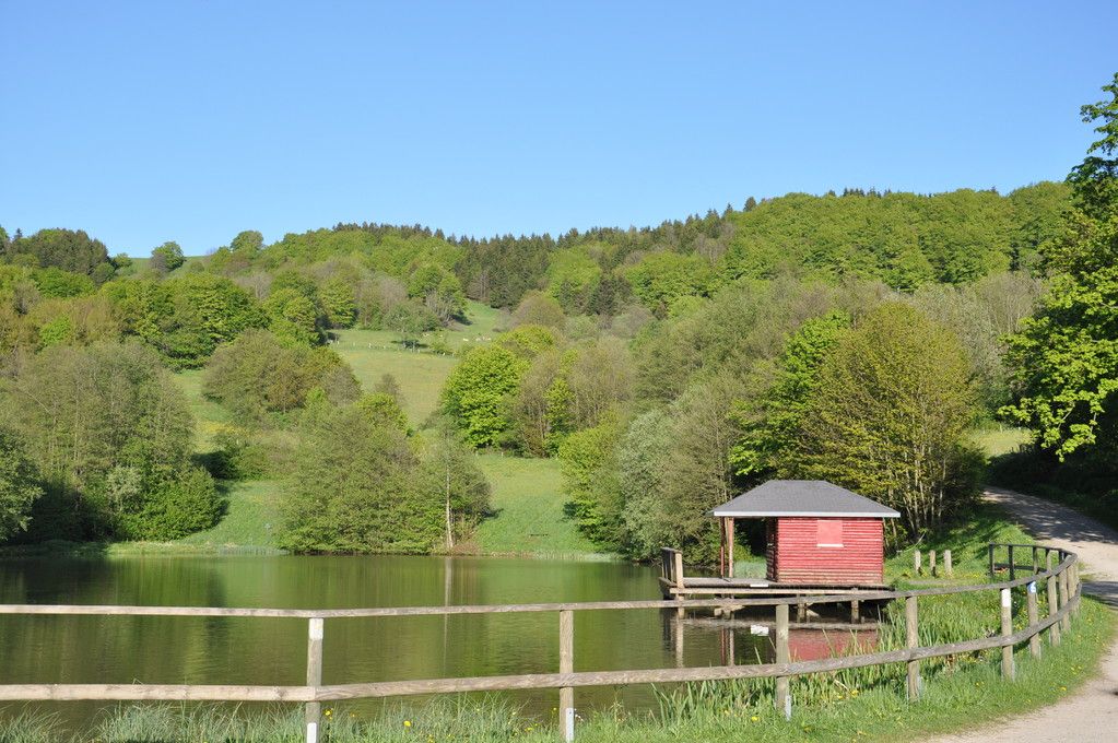Omgeving