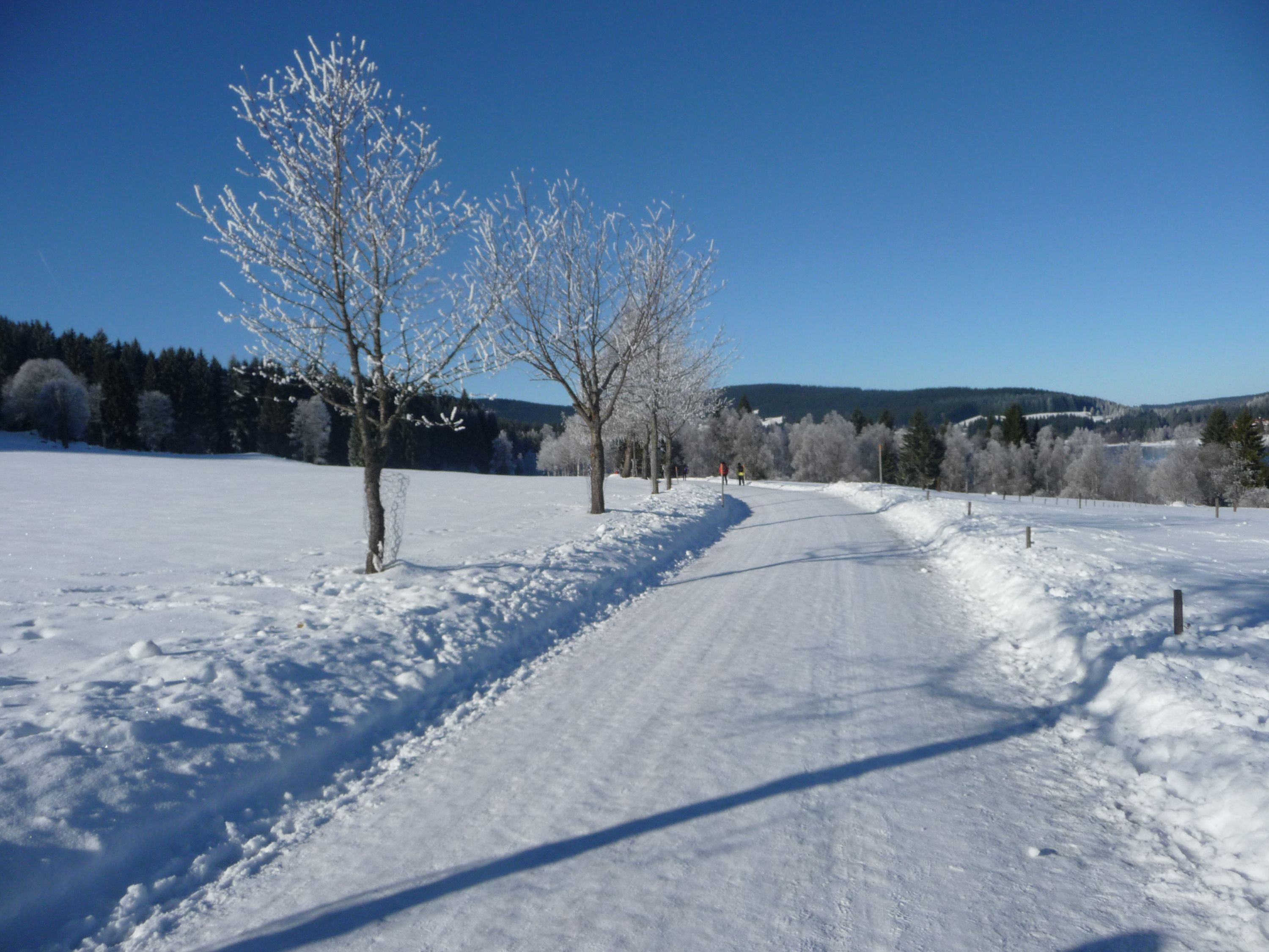 Omgeving