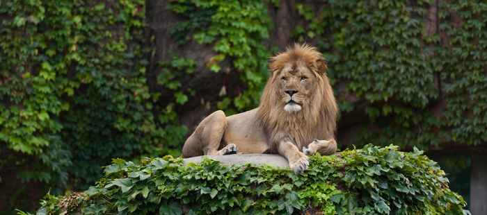 Hotel met dierentuin bezoek