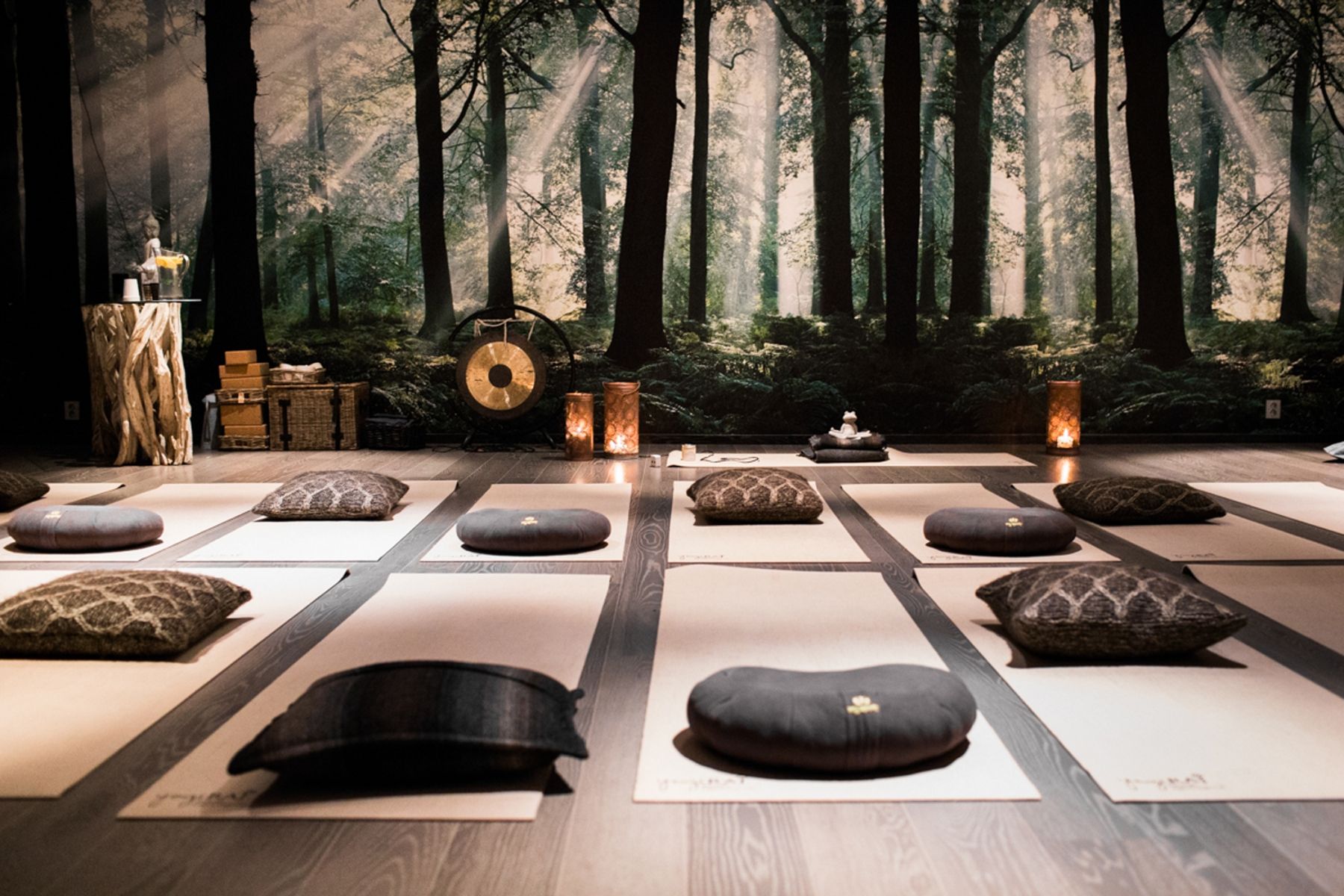 Wellness