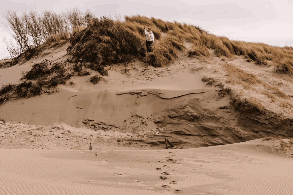 Omgeving