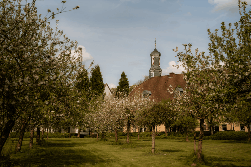 Omgeving