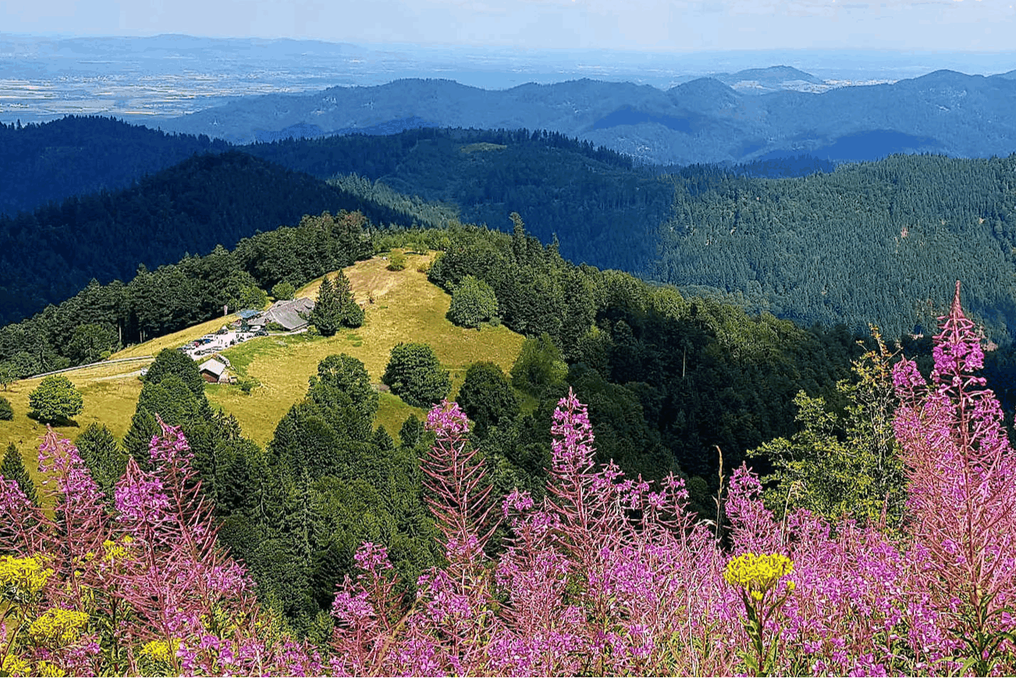 Omgeving
