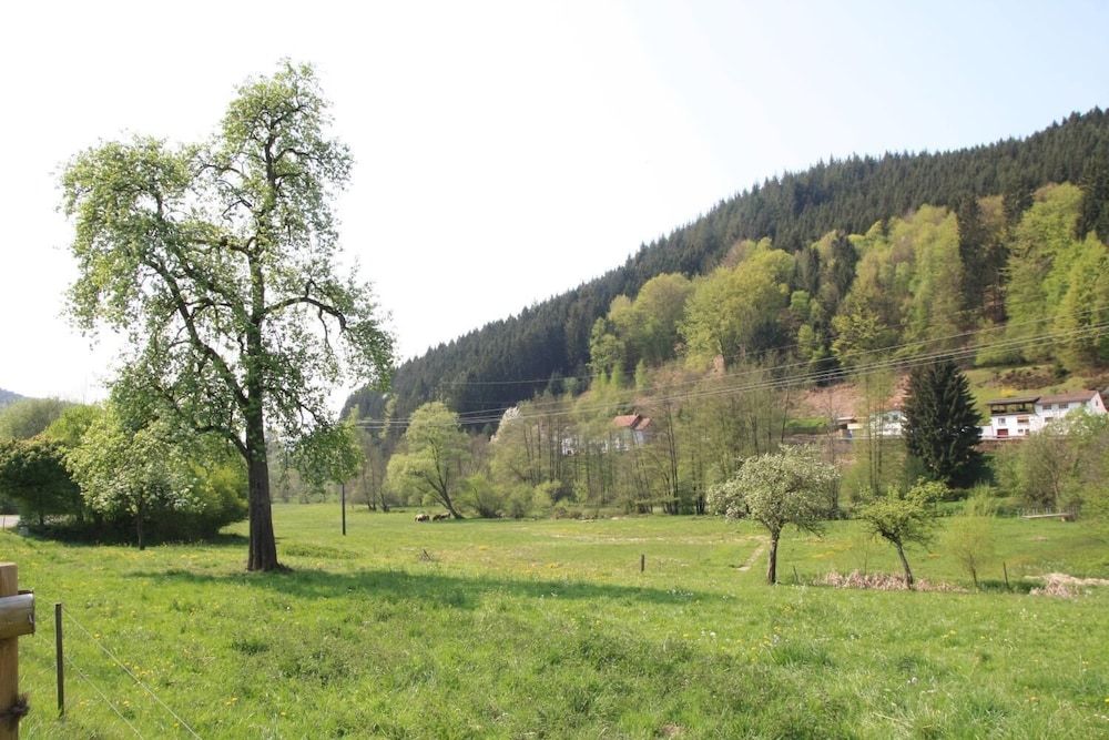 Algemeen