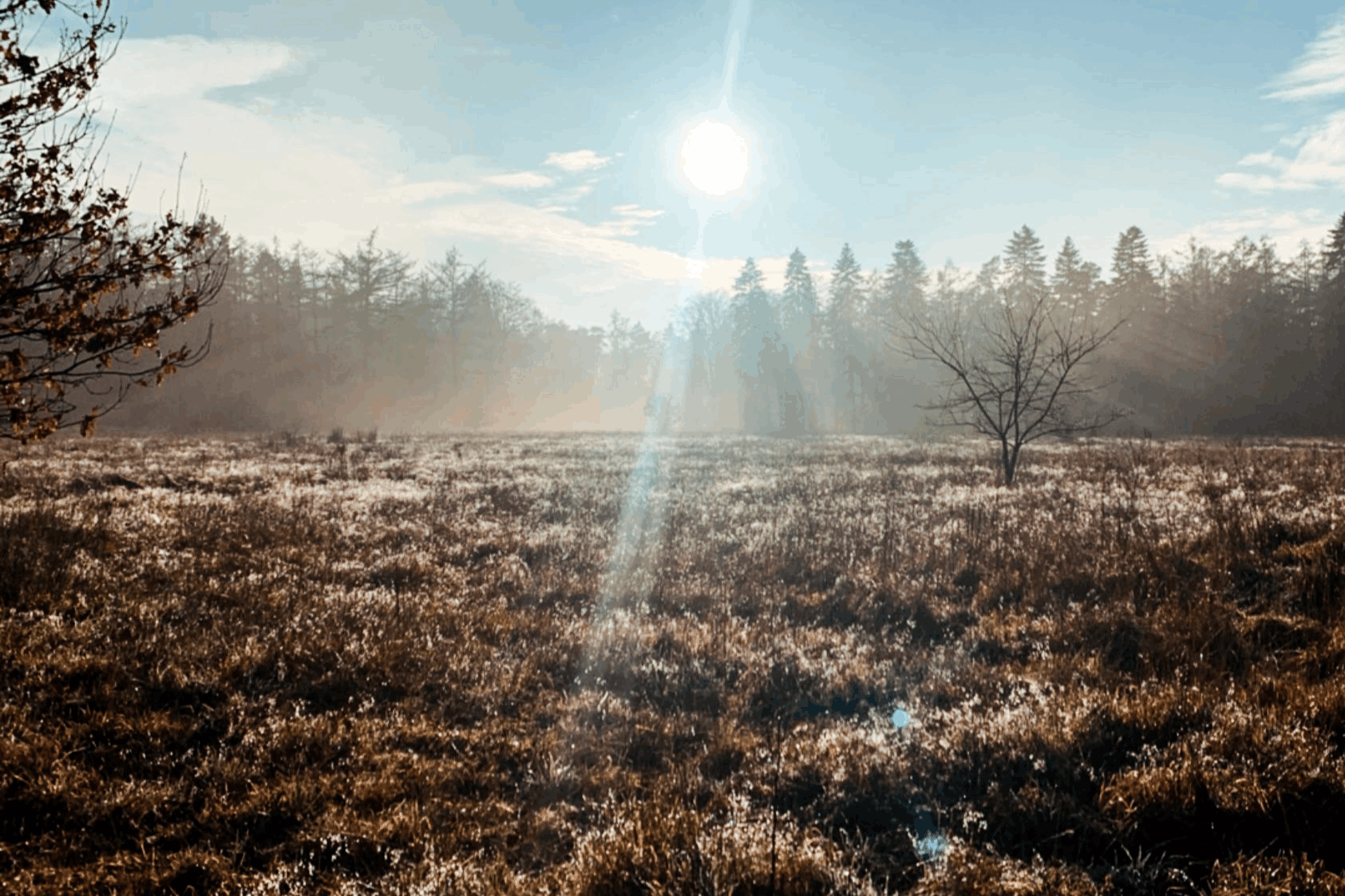 Omgeving