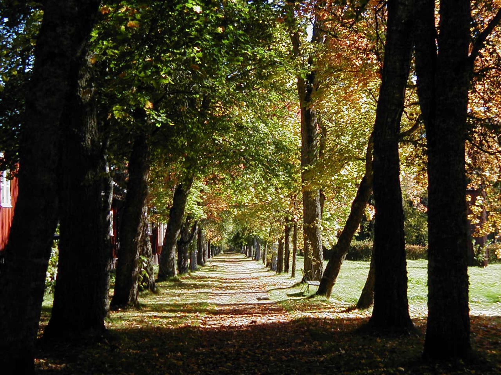 Omgeving