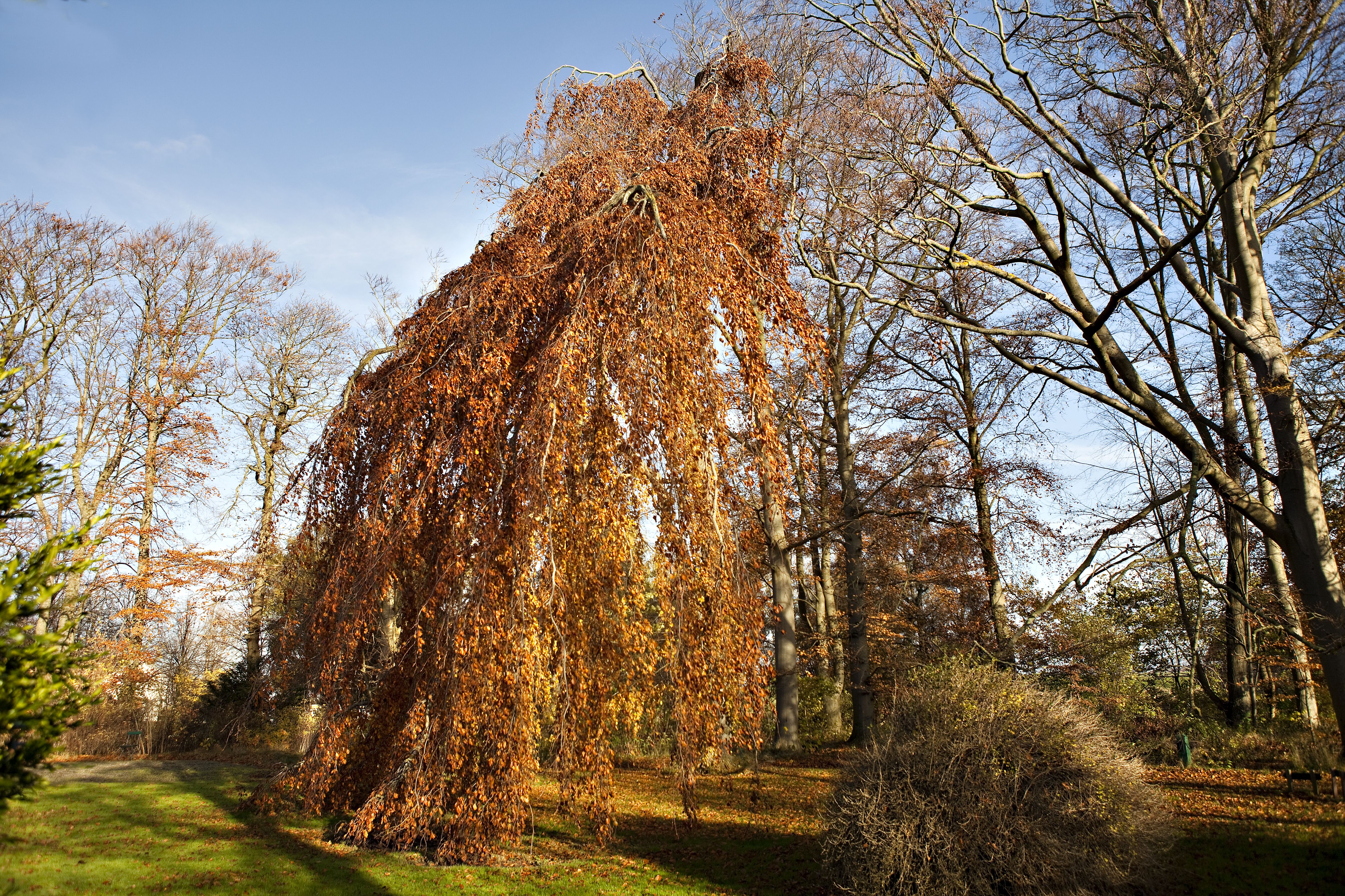 Omgeving